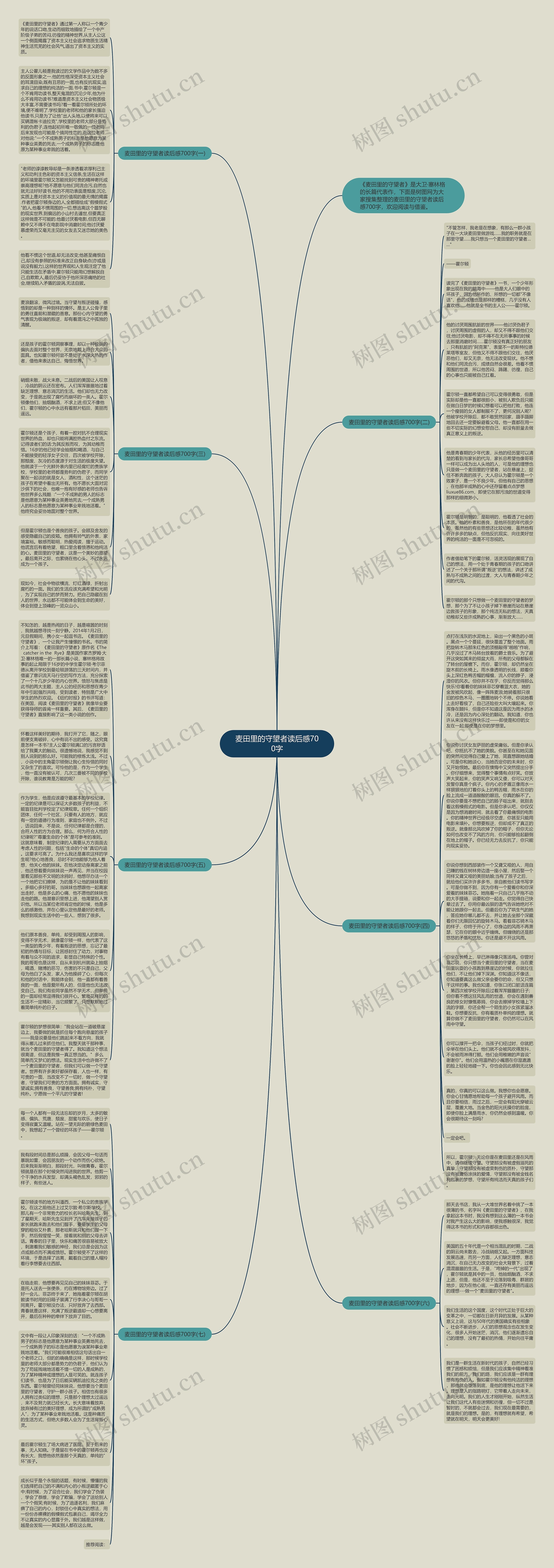 麦田里的守望者读后感700字思维导图