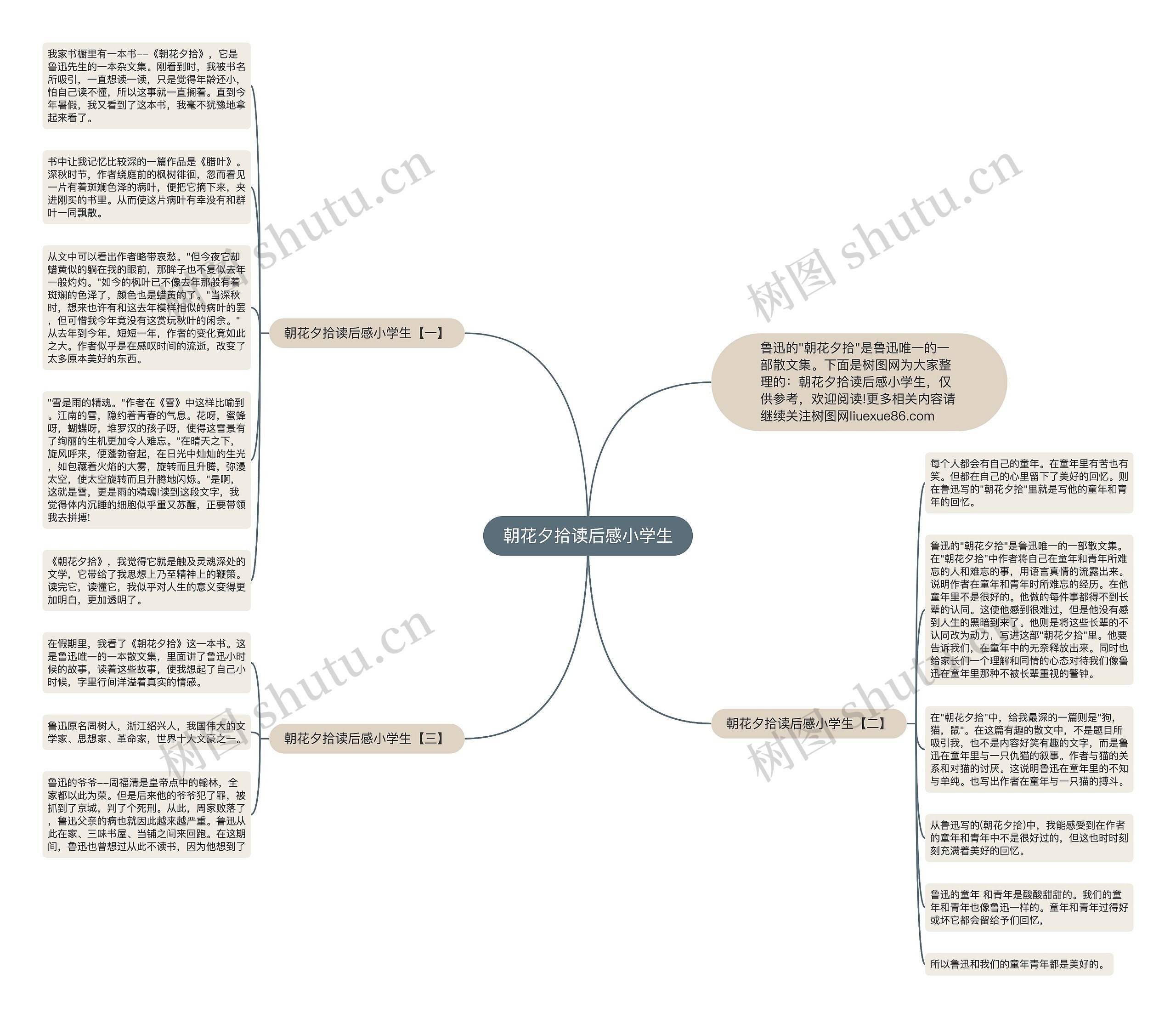 朝花夕拾读后感小学生思维导图