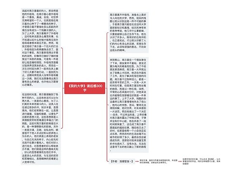 《我的大学》读后感300字