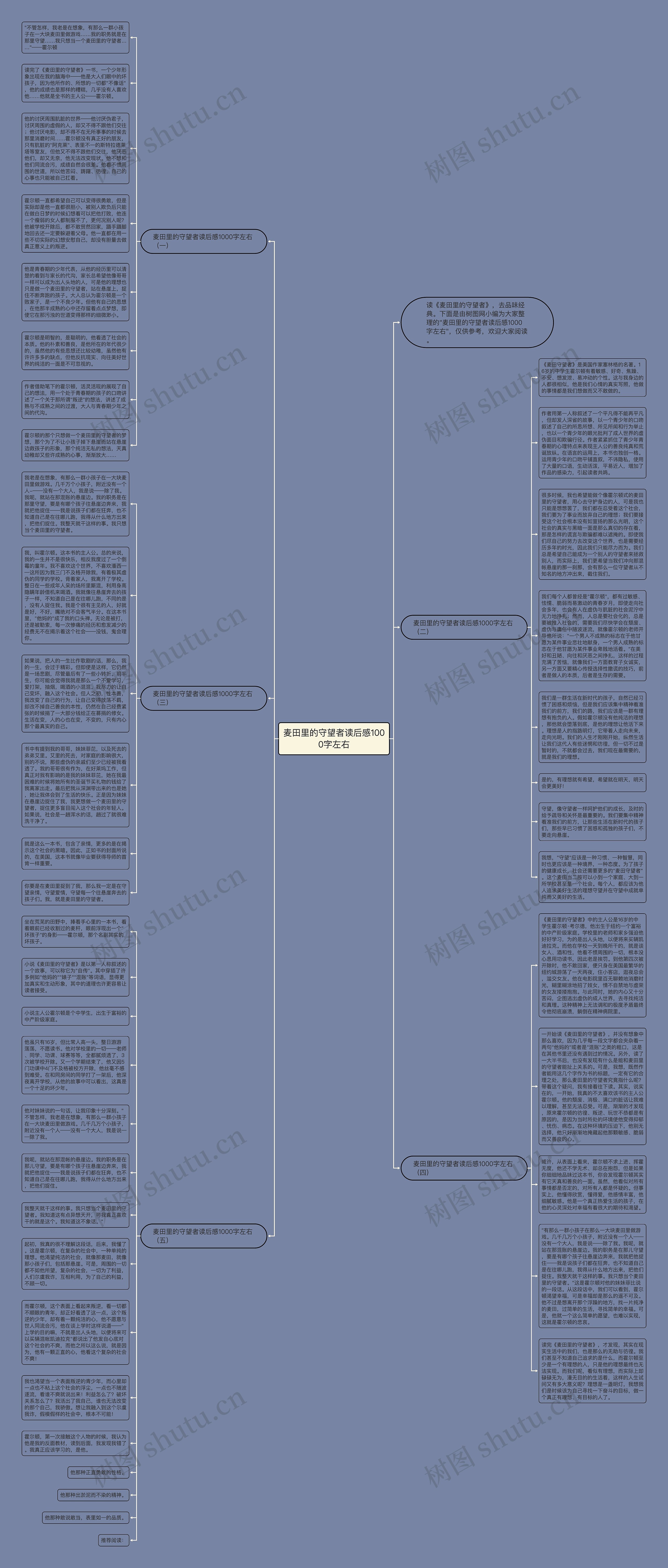 麦田里的守望者读后感1000字左右思维导图