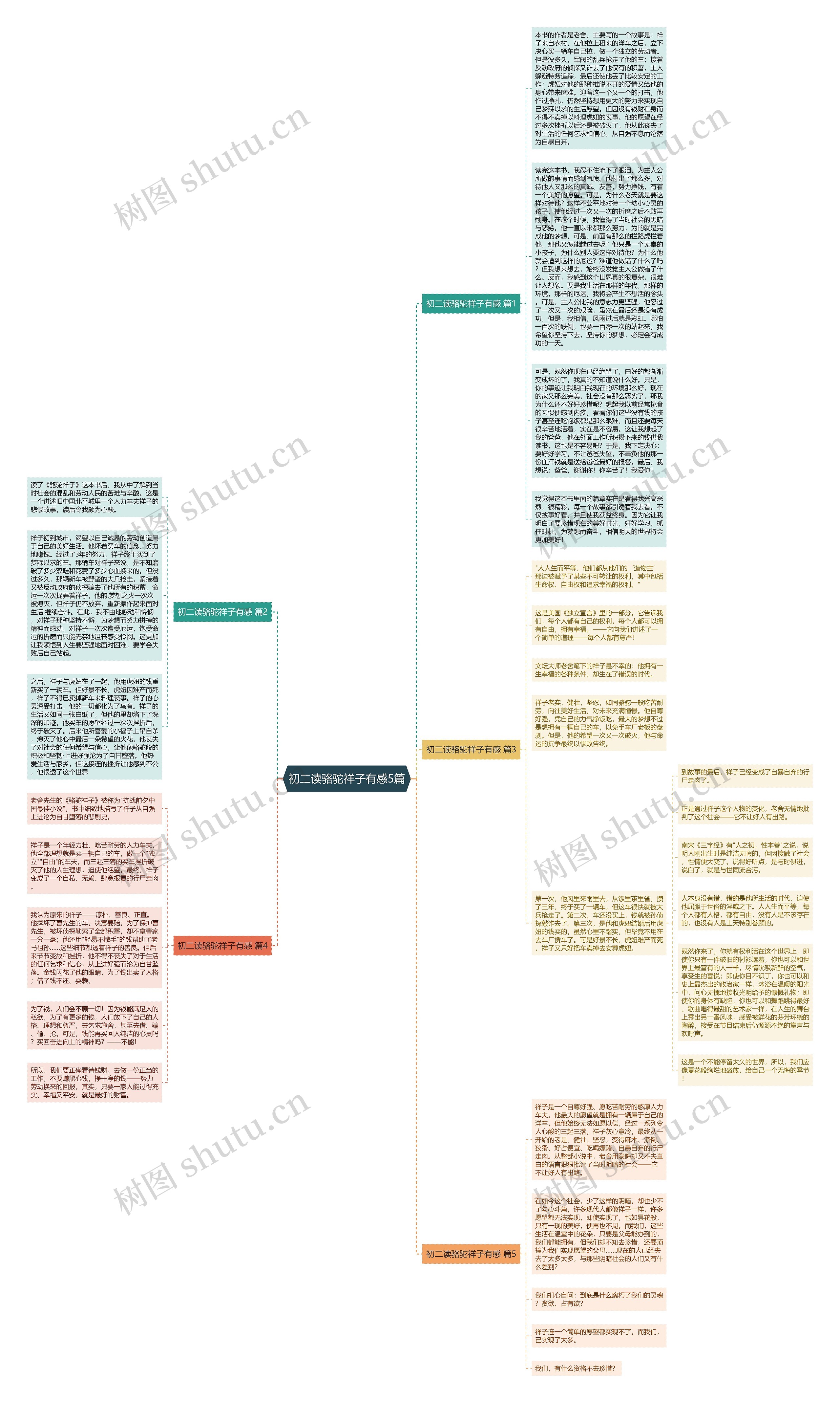 初二读骆驼祥子有感5篇思维导图
