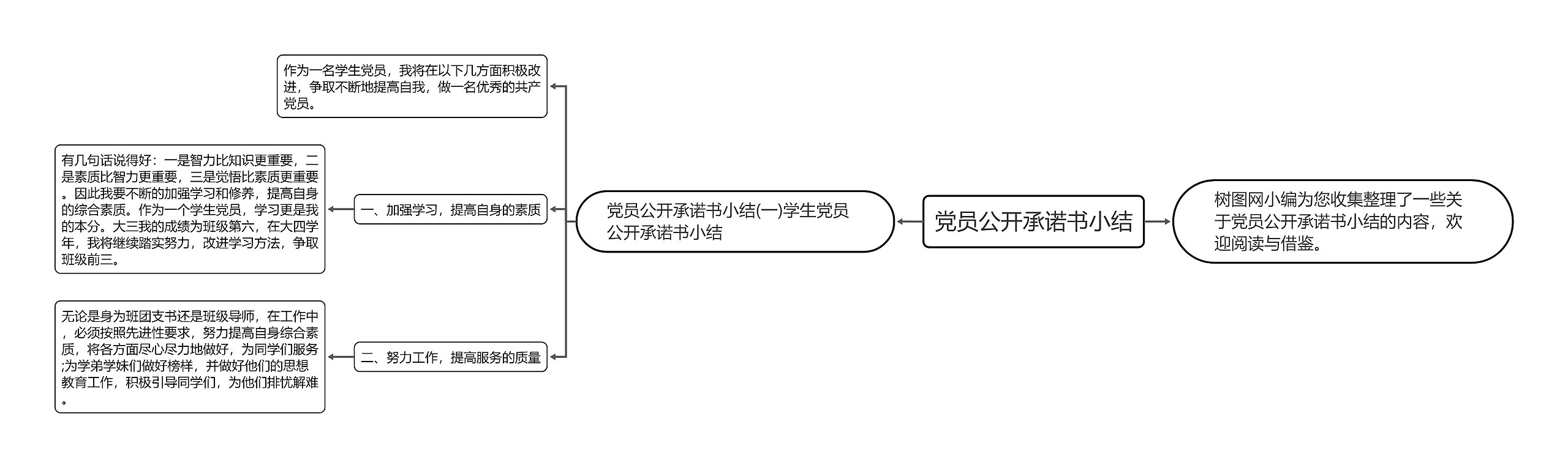 党员公开承诺书小结