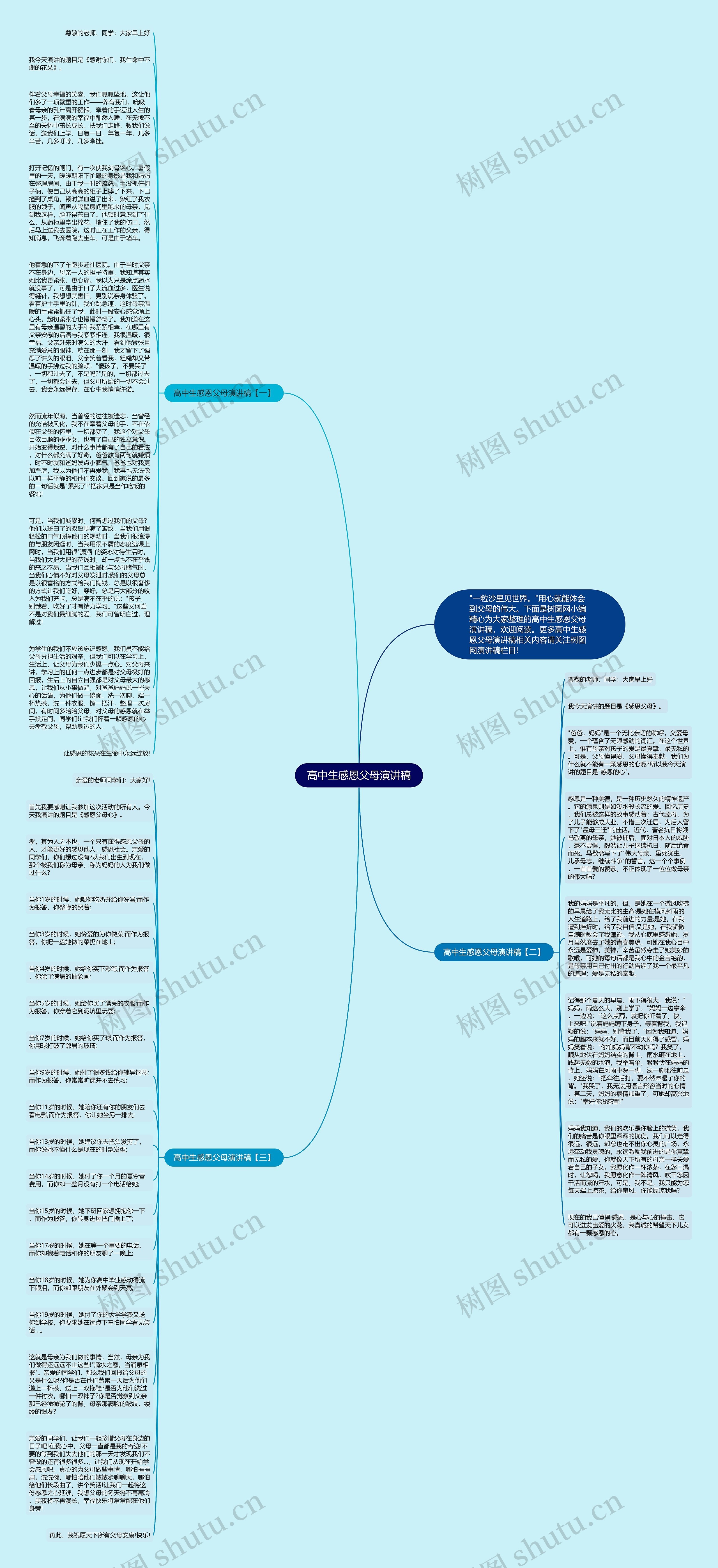 高中生感恩父母演讲稿思维导图