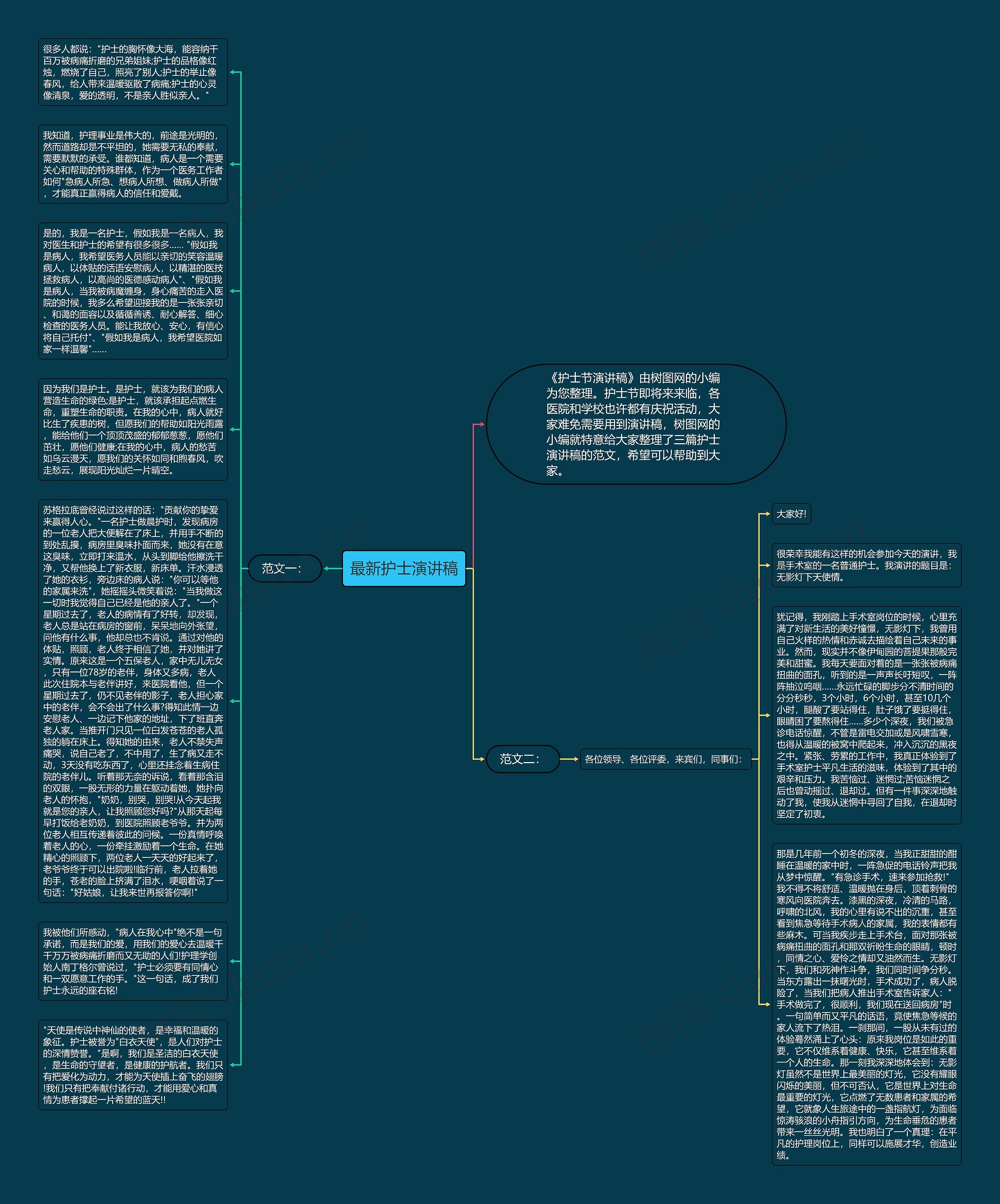 最新护士演讲稿思维导图