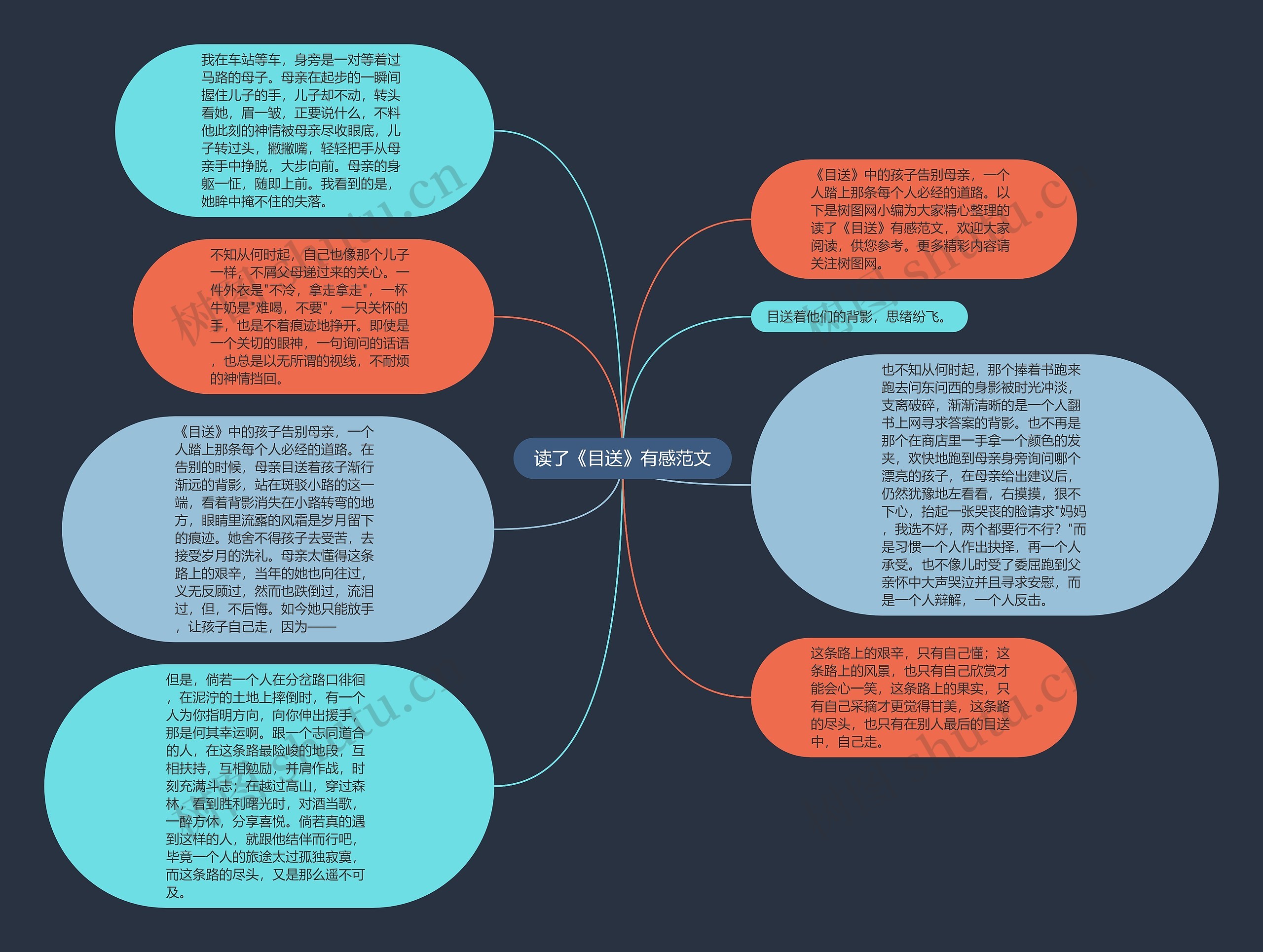 读了《目送》有感范文思维导图