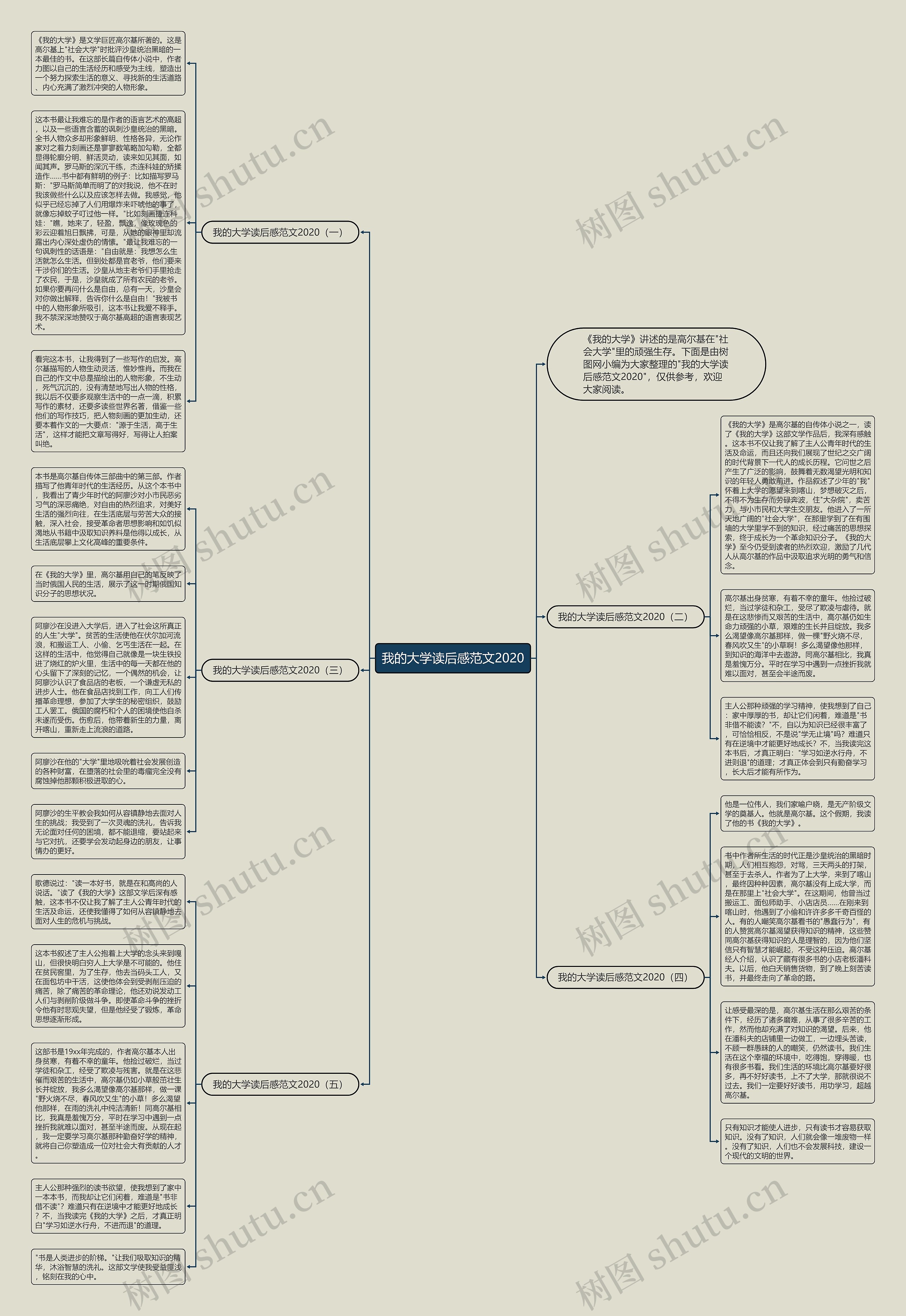 我的大学读后感范文2020思维导图
