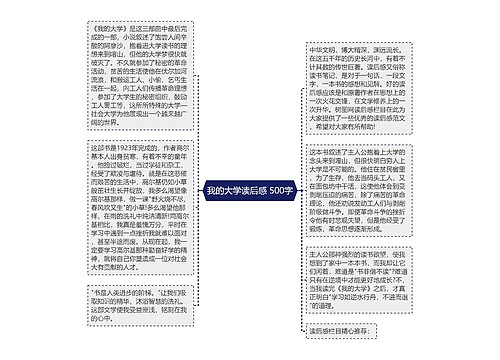 我的大学读后感 500字