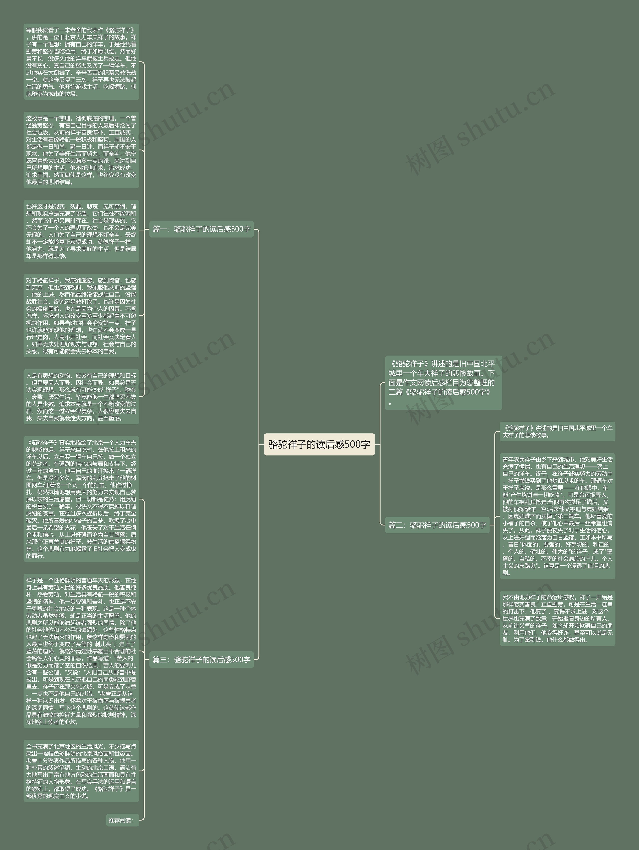骆驼祥子的读后感500字思维导图