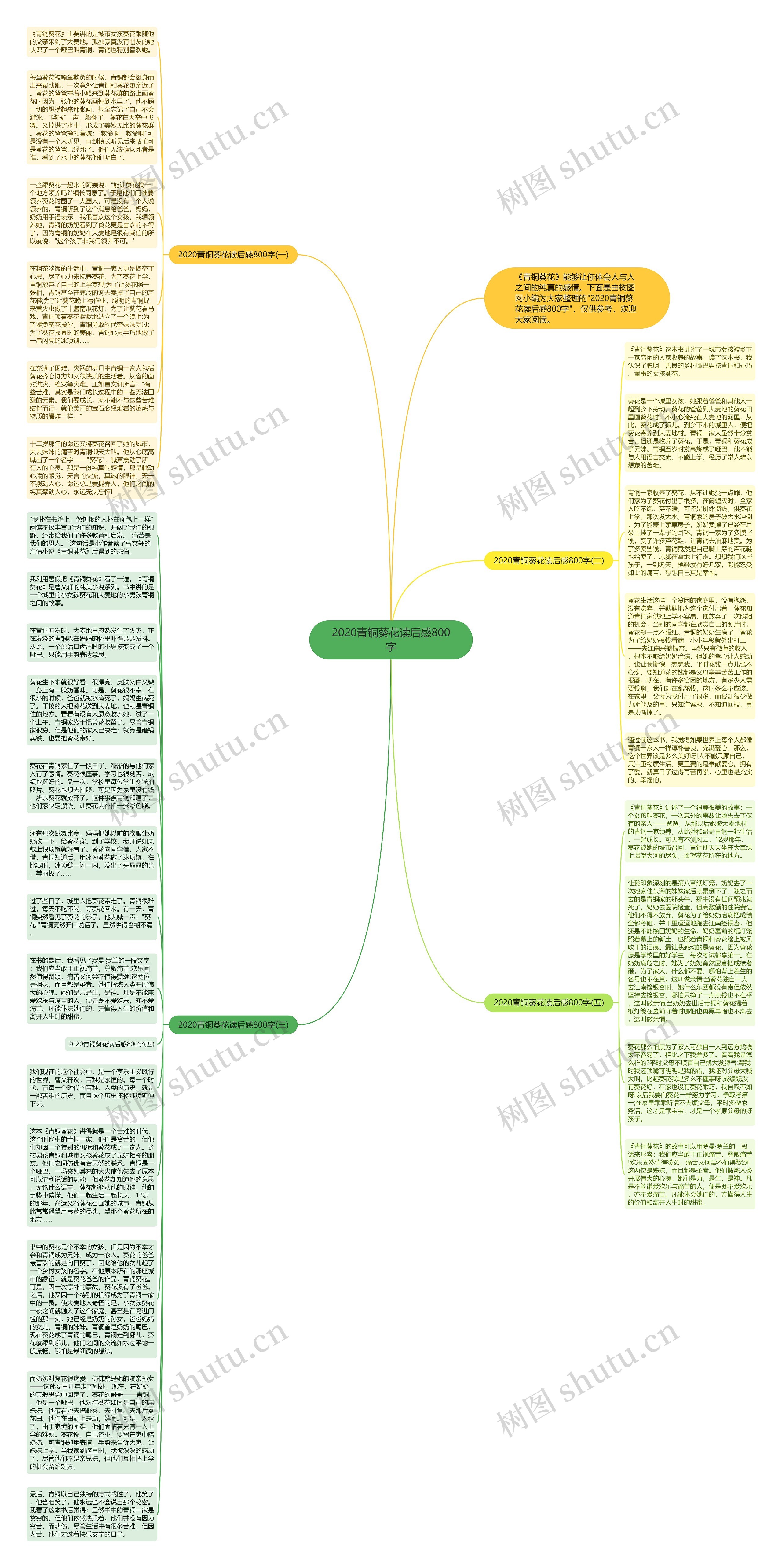 2020青铜葵花读后感800字思维导图