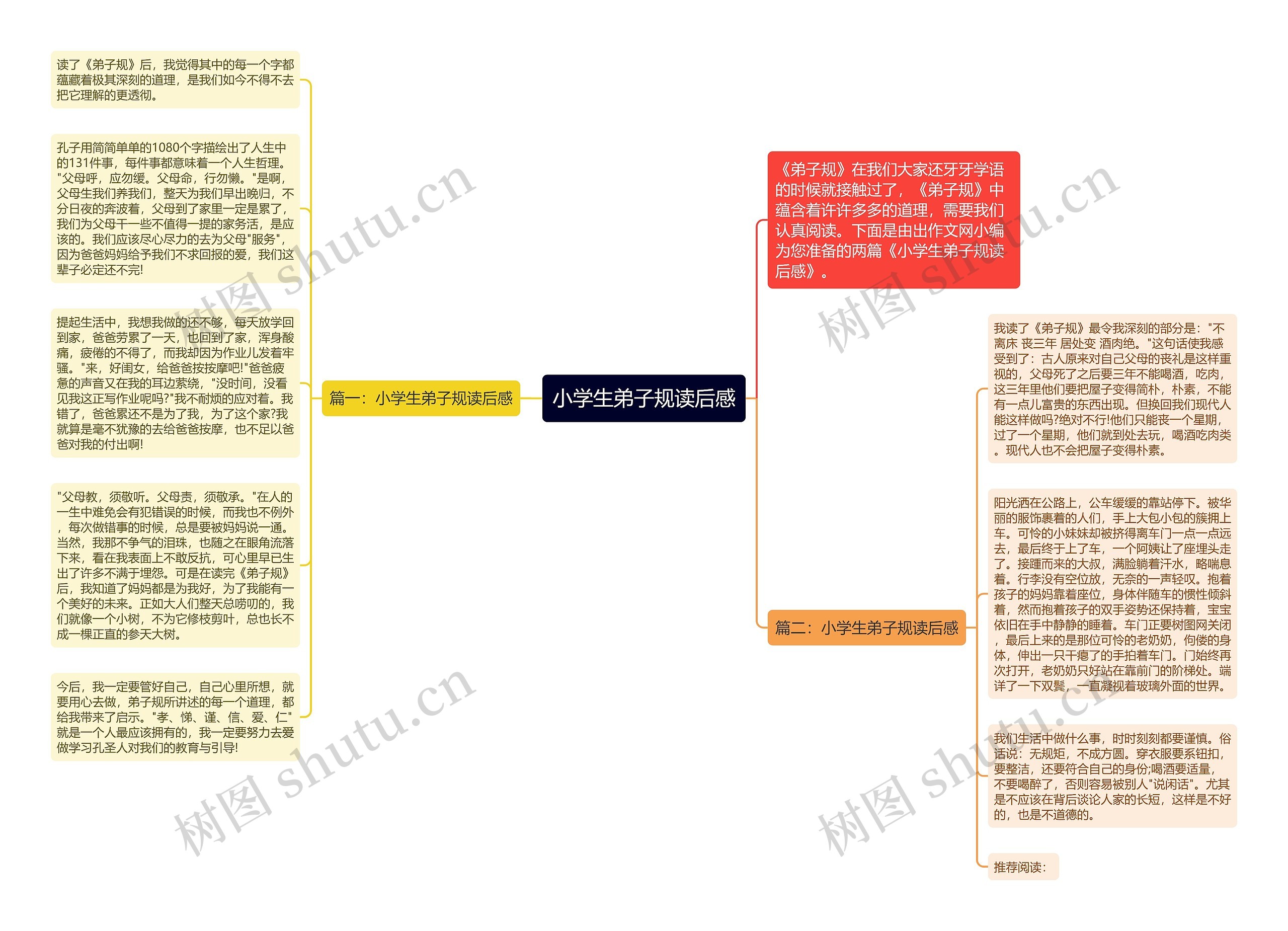 小学生弟子规读后感思维导图