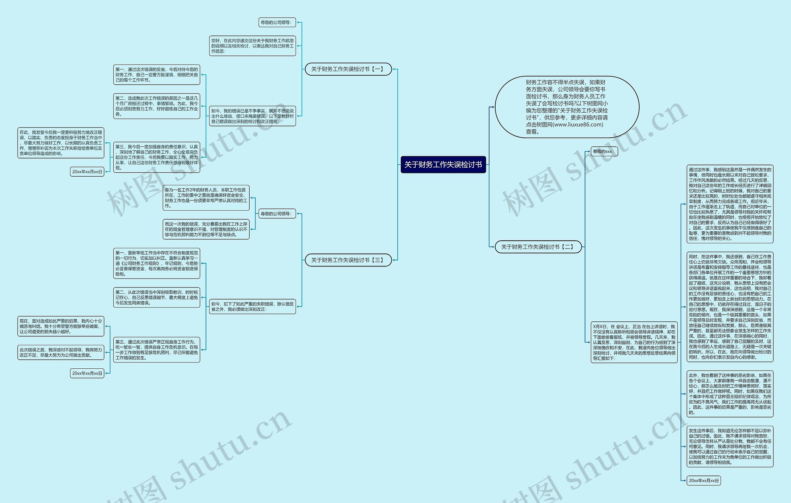 关于财务工作失误检讨书思维导图