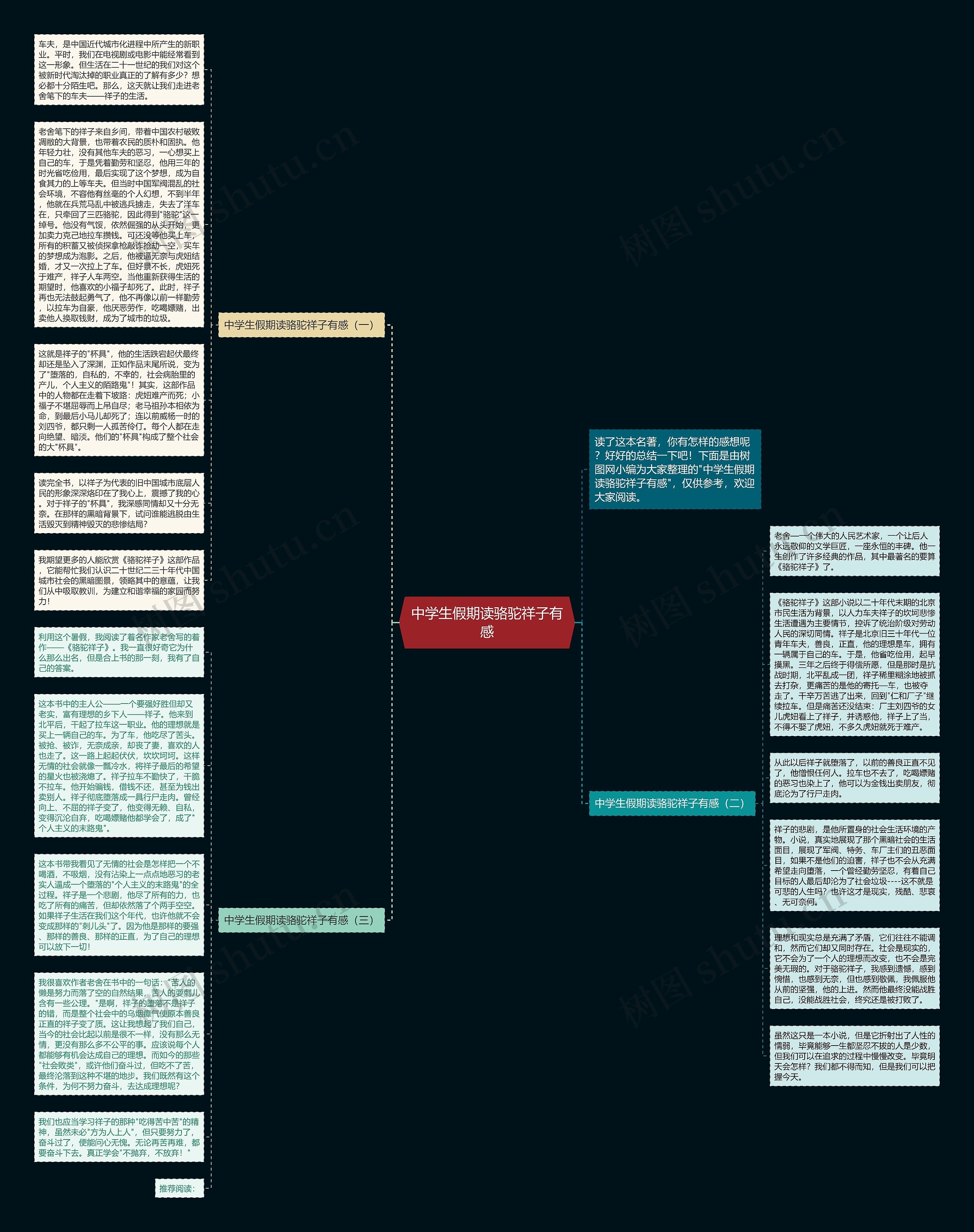 中学生假期读骆驼祥子有感思维导图