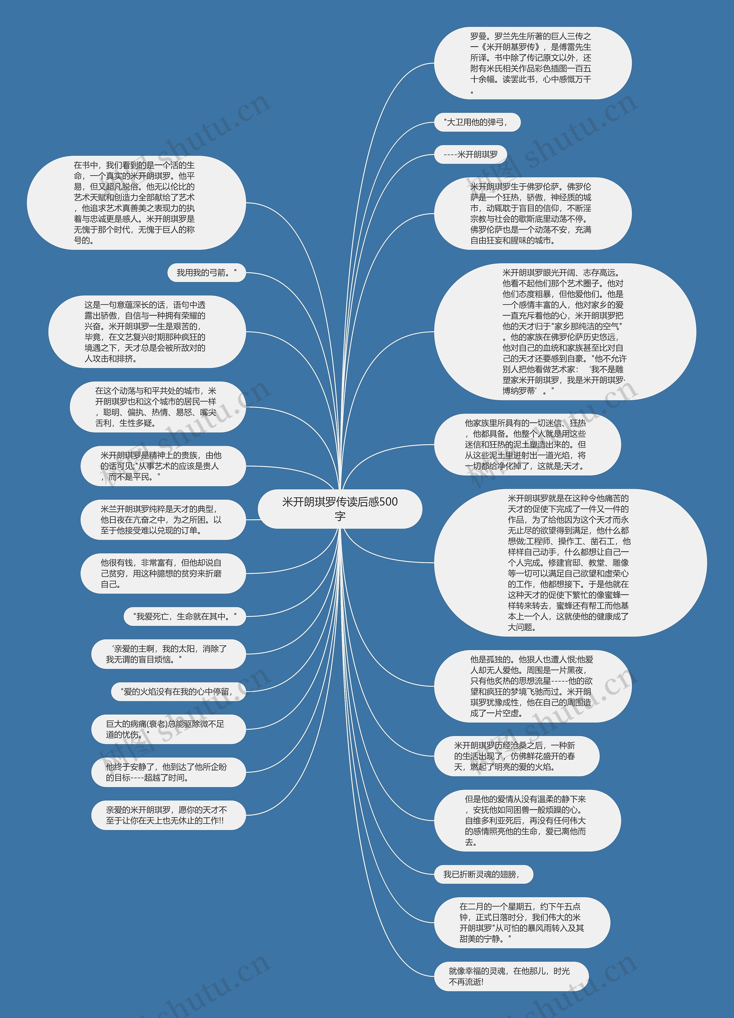 米开朗琪罗传读后感500字