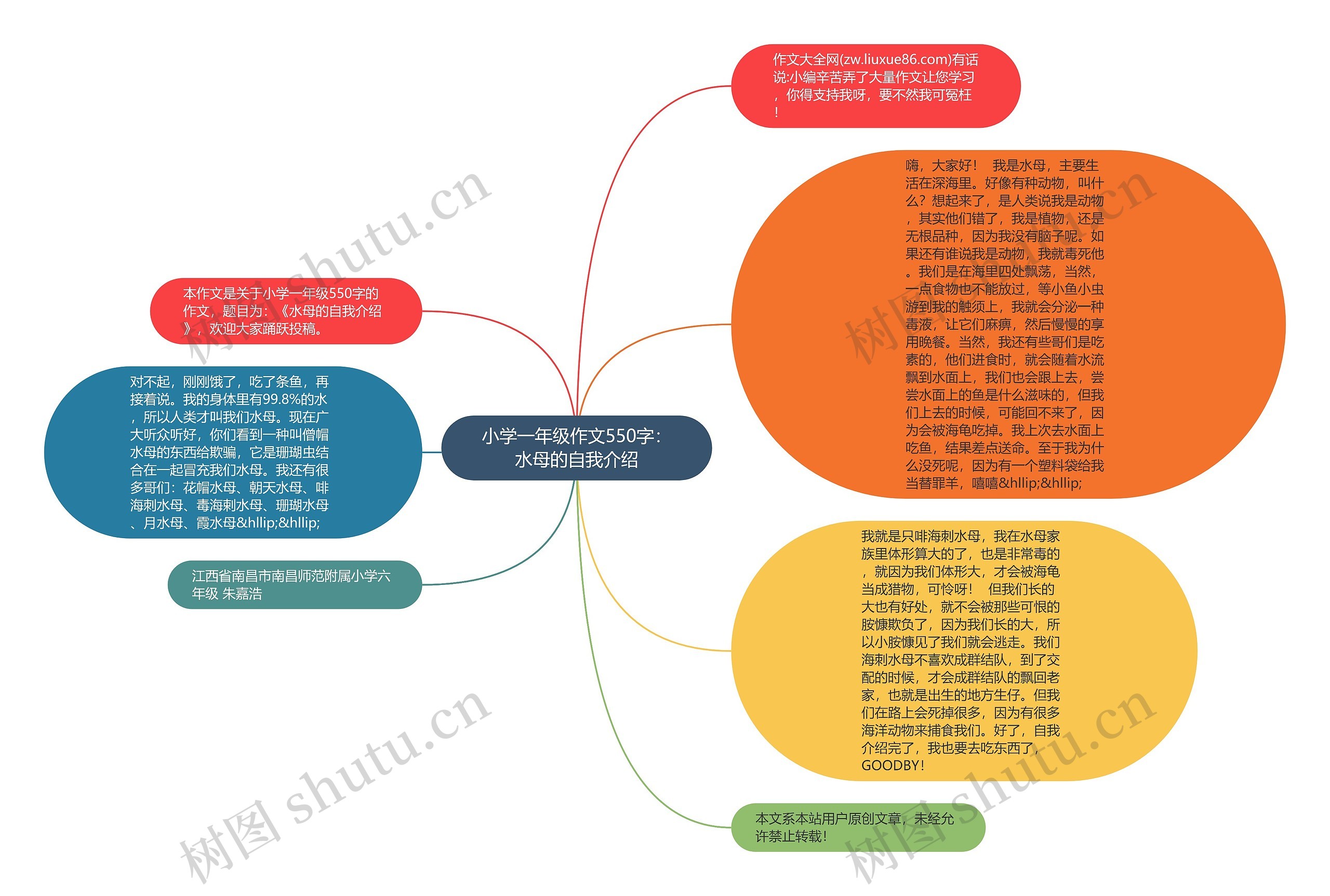 小学一年级作文550字：水母的自我介绍