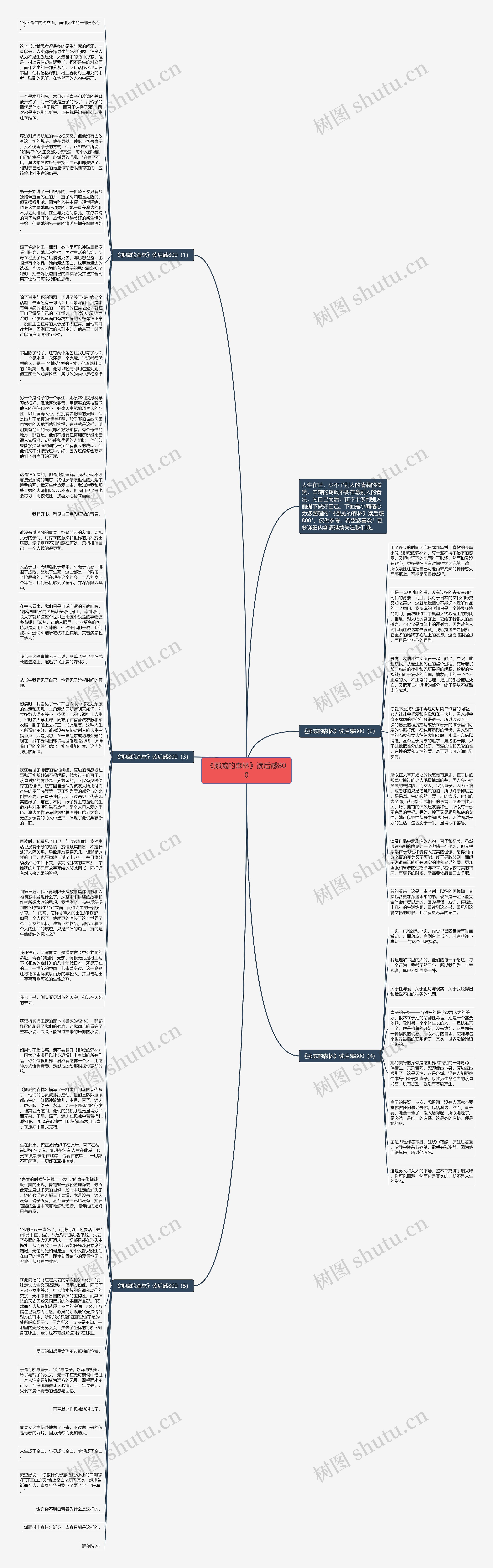 《挪威的森林》读后感800思维导图