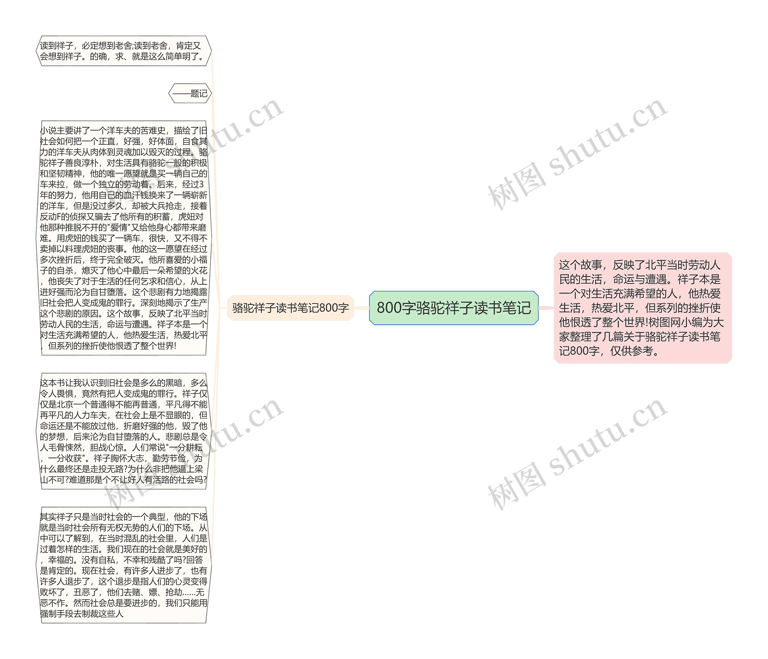 800字骆驼祥子读书笔记思维导图