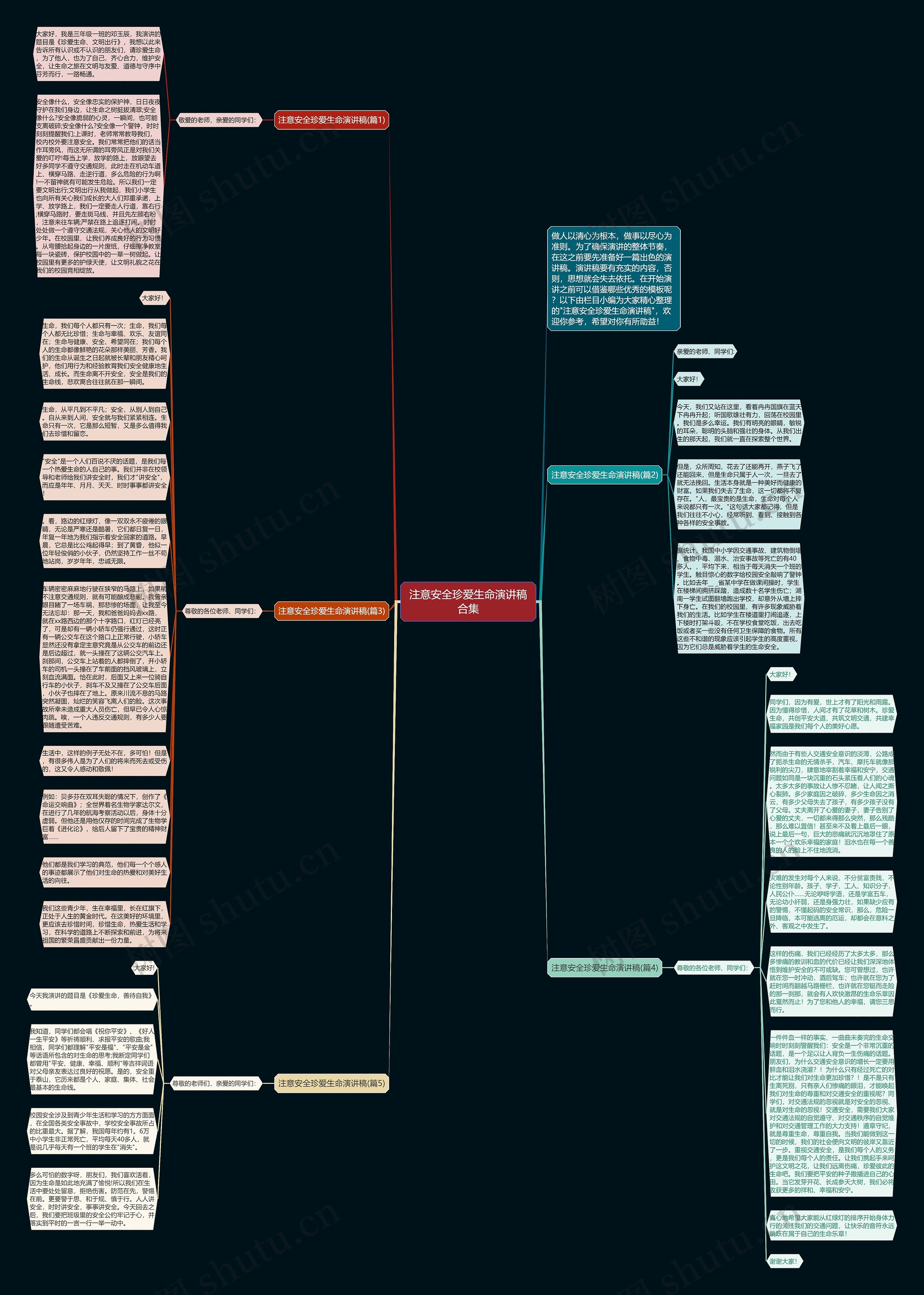 注意安全珍爱生命演讲稿合集思维导图
