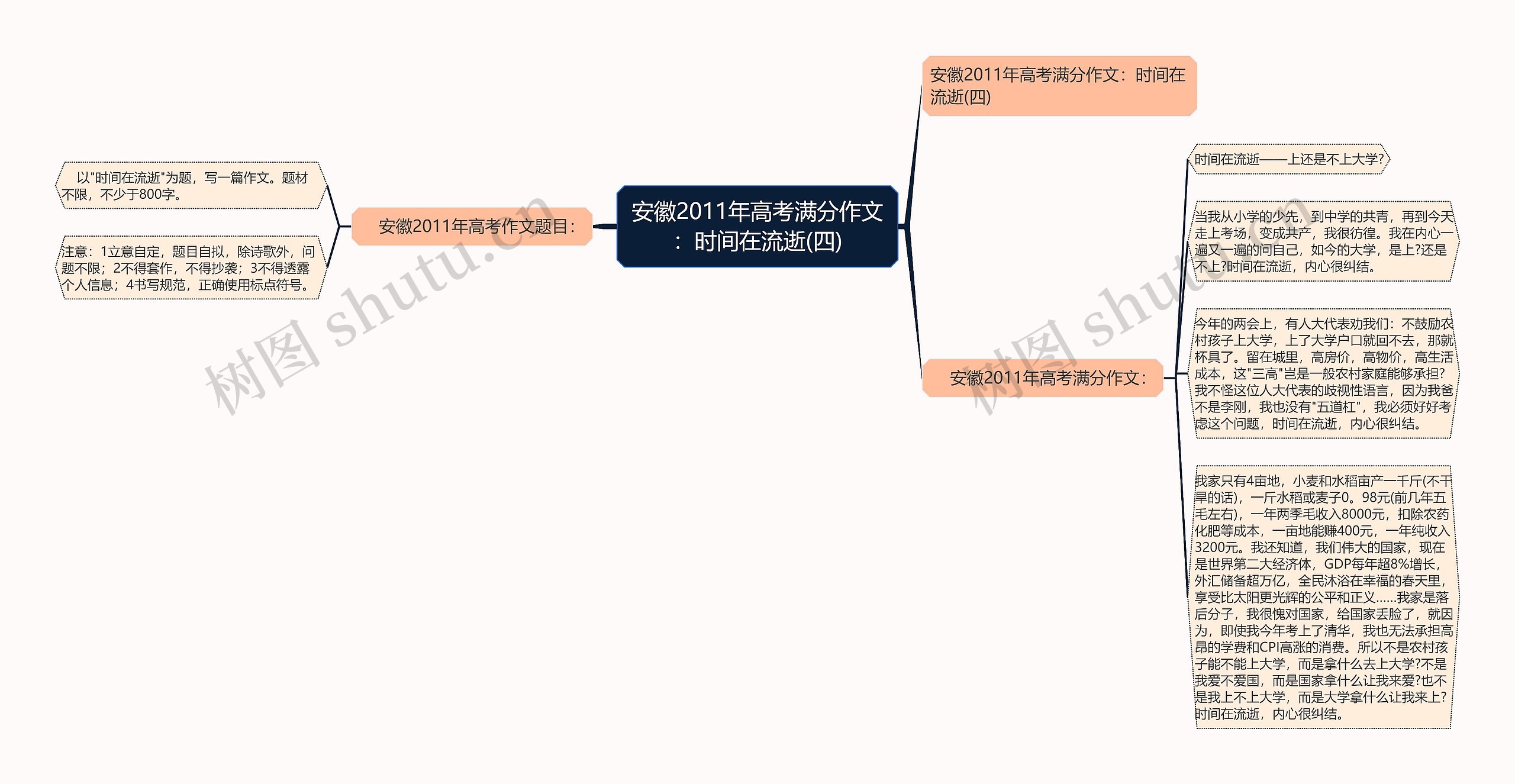 安徽2011年高考满分作文：时间在流逝(四)