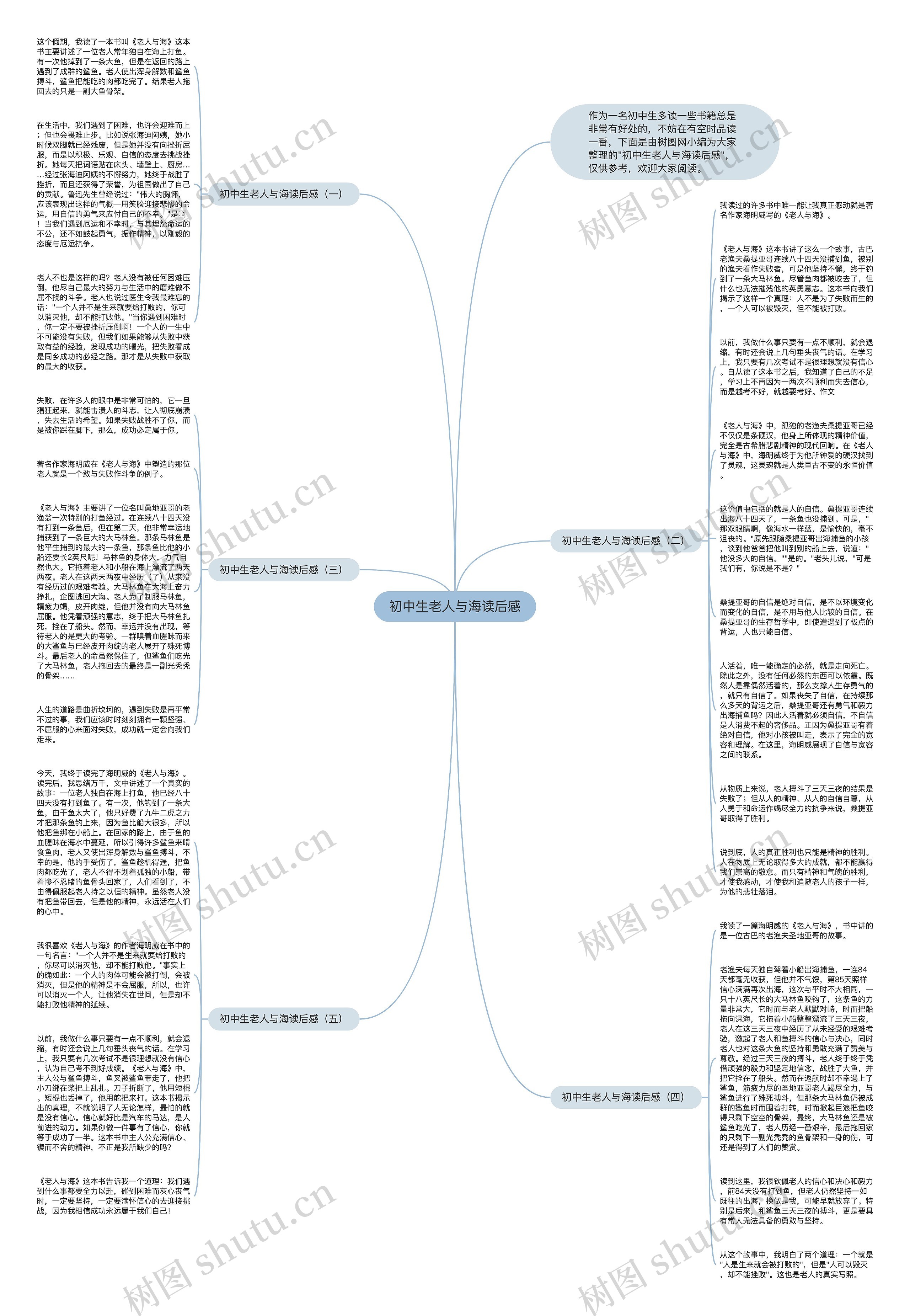 初中生老人与海读后感思维导图