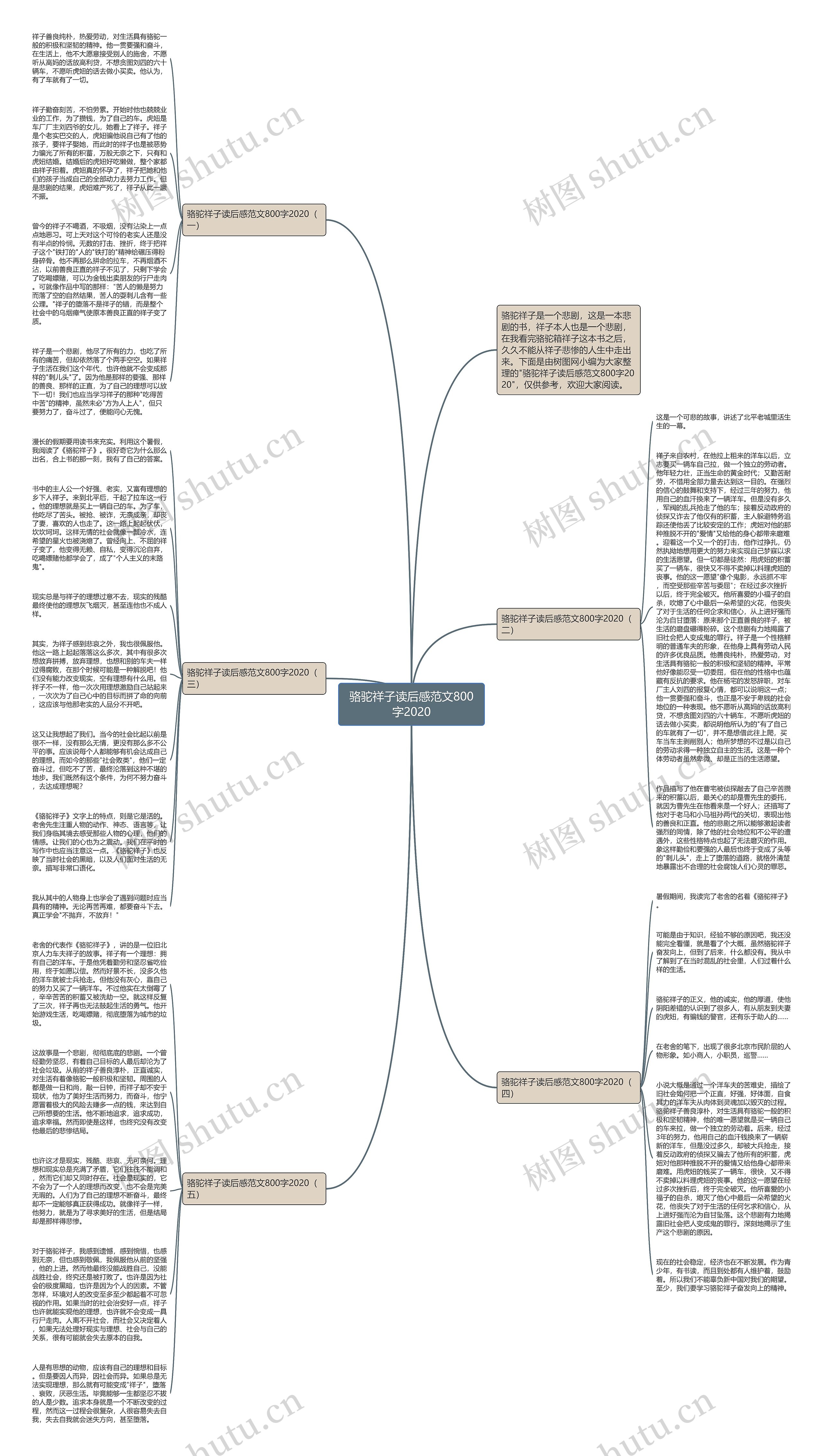骆驼祥子读后感范文800字2020思维导图