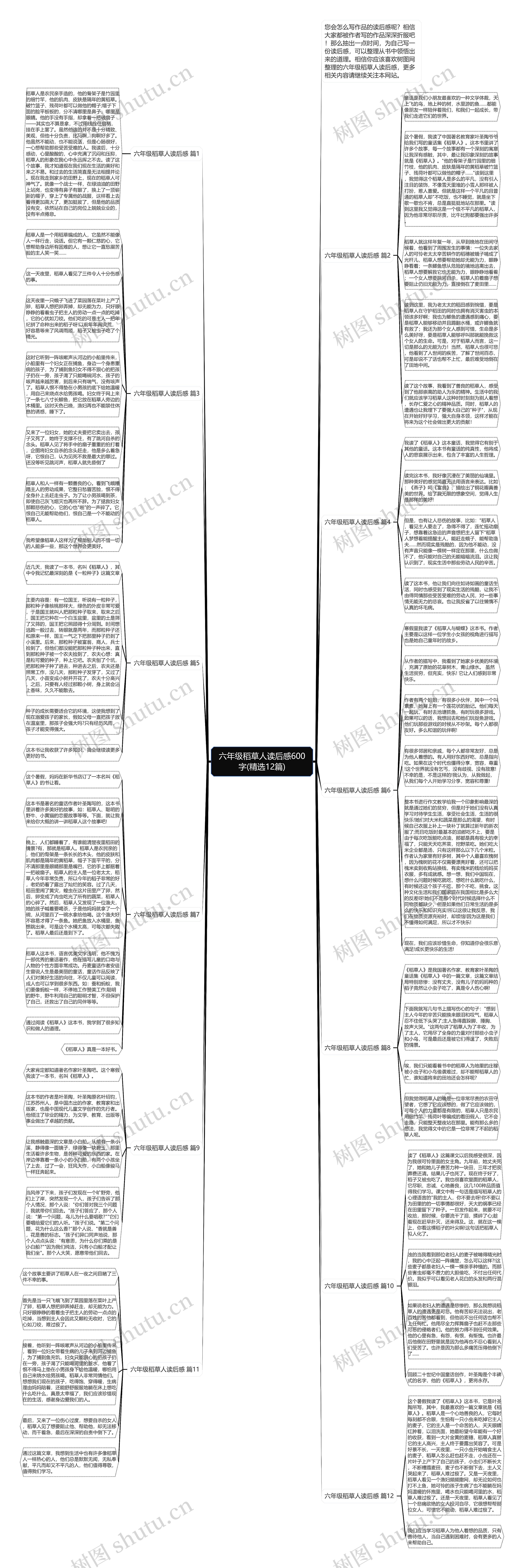 六年级稻草人读后感600字(精选12篇)思维导图
