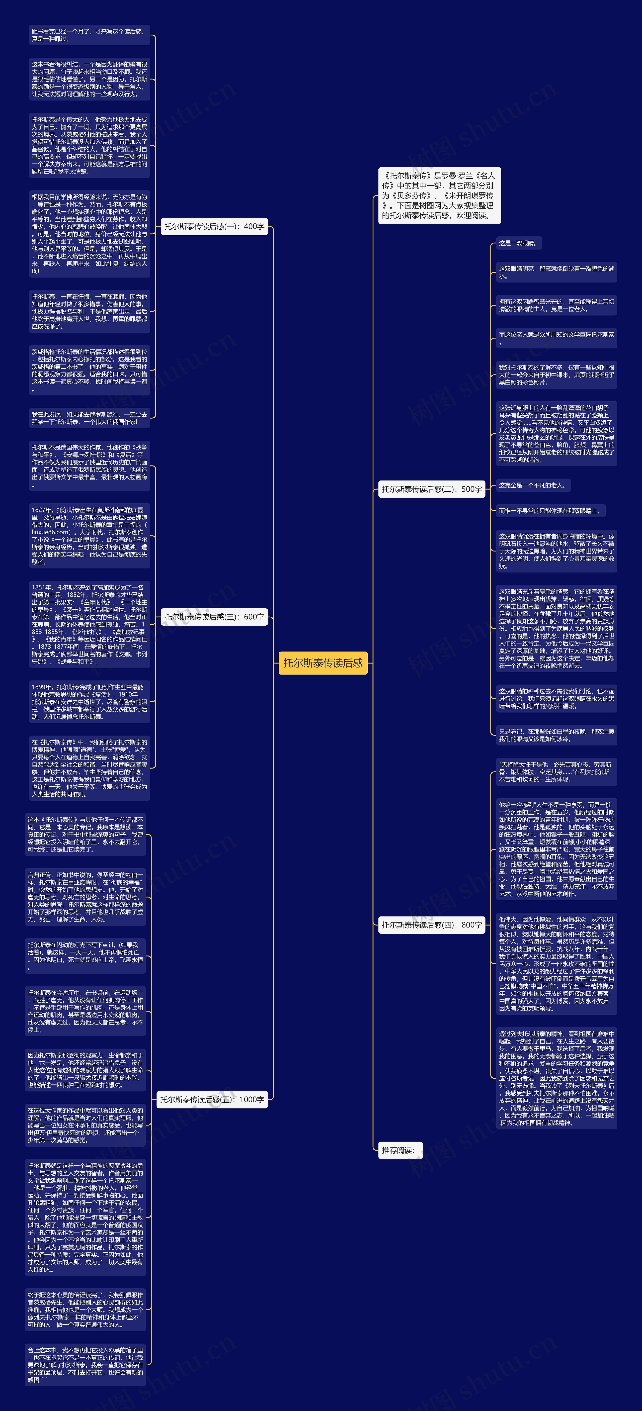 托尔斯泰传读后感思维导图