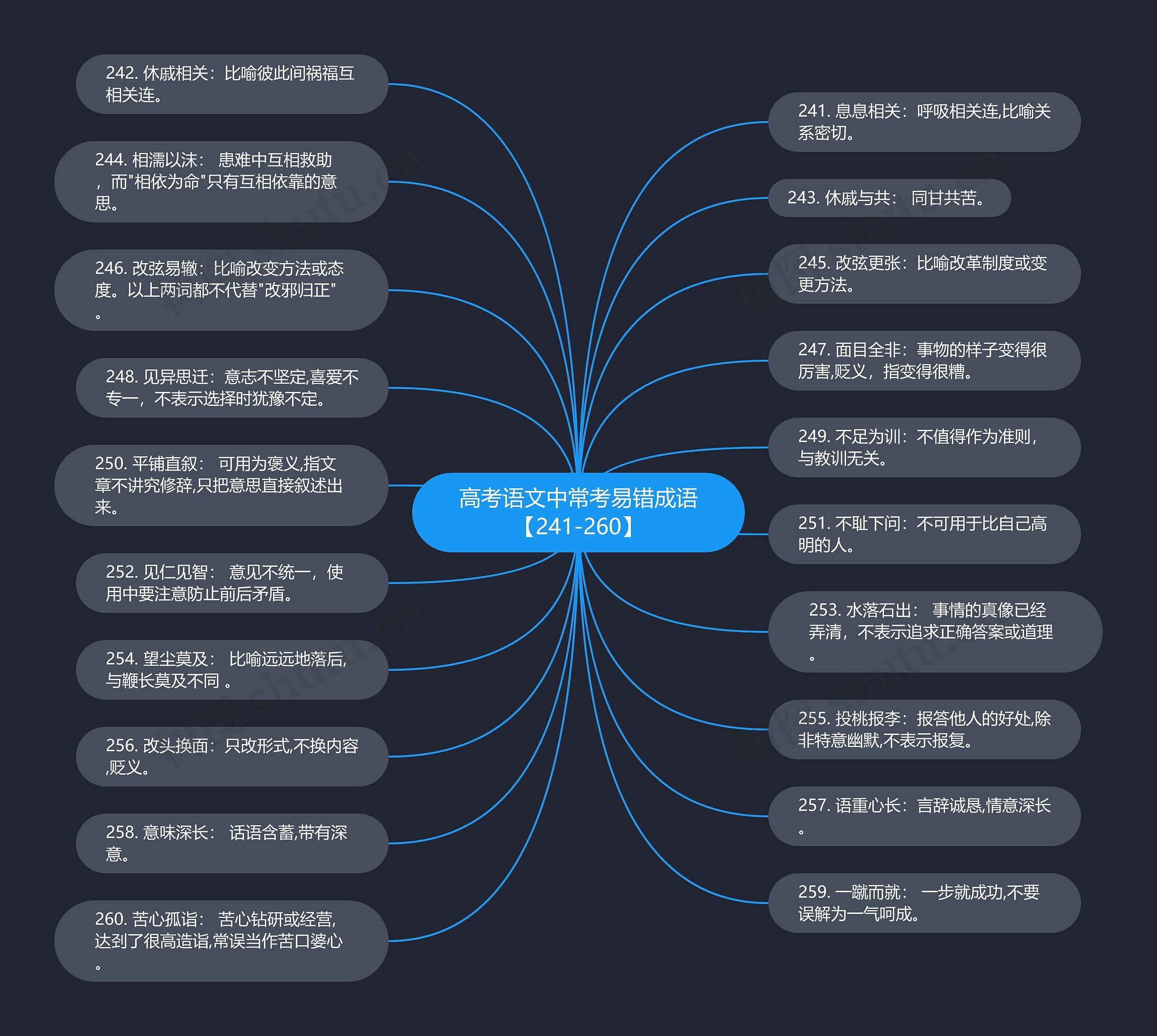 高考语文中常考易错成语【241-260】思维导图