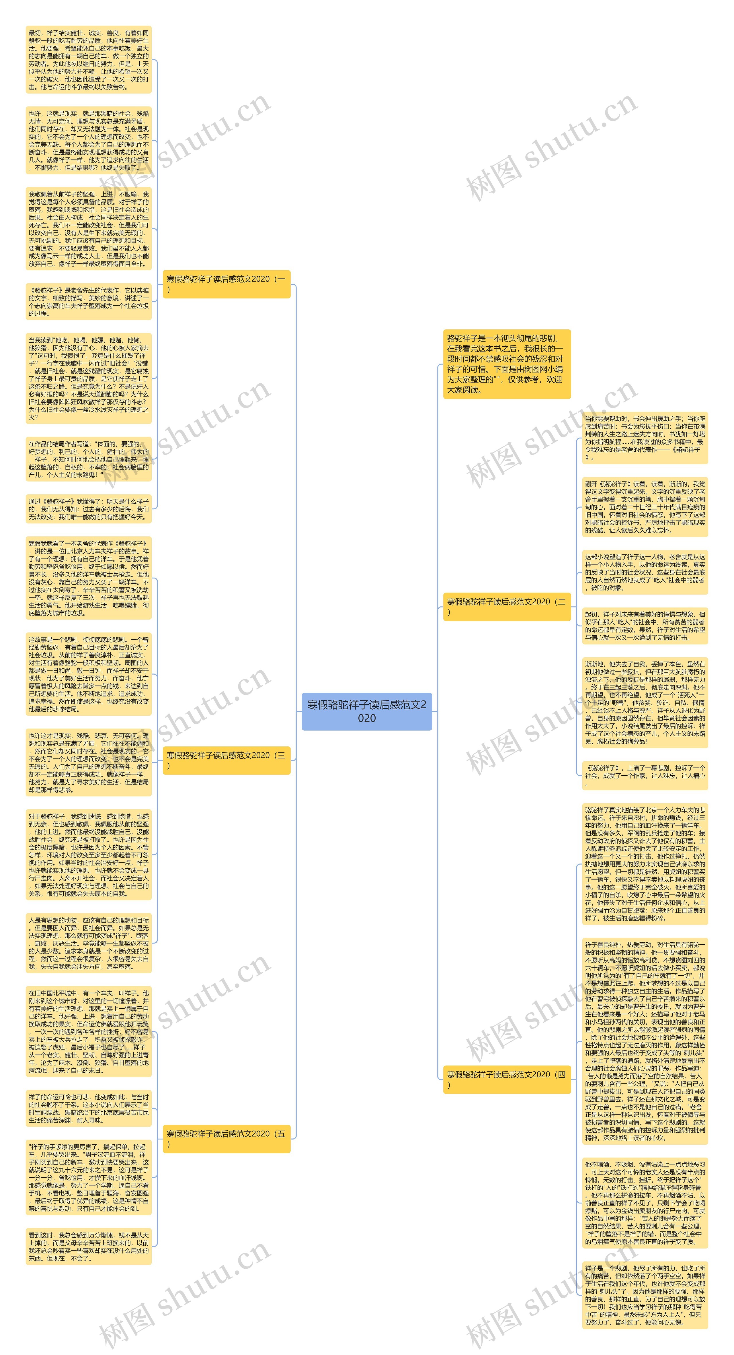 寒假骆驼祥子读后感范文2020思维导图