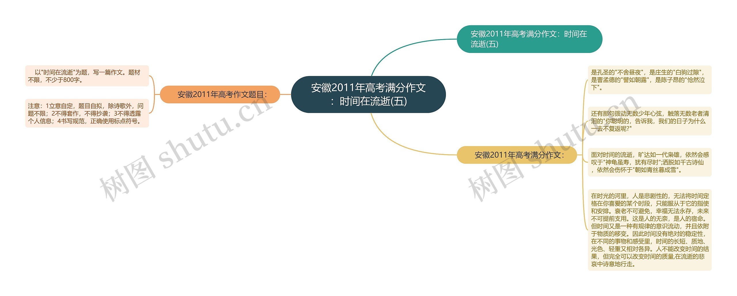 安徽2011年高考满分作文：时间在流逝(五)