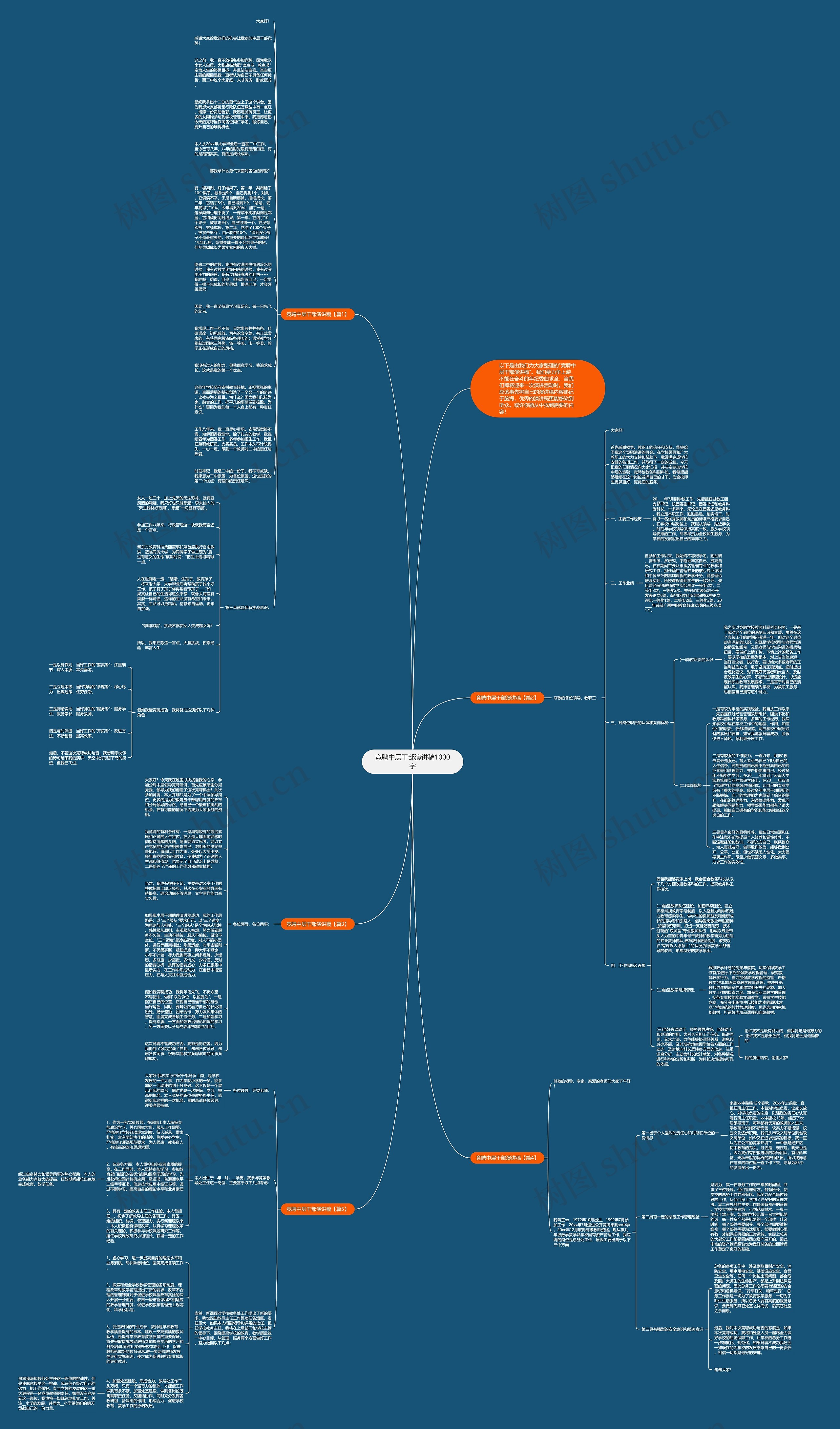竞聘中层干部演讲稿1000字思维导图