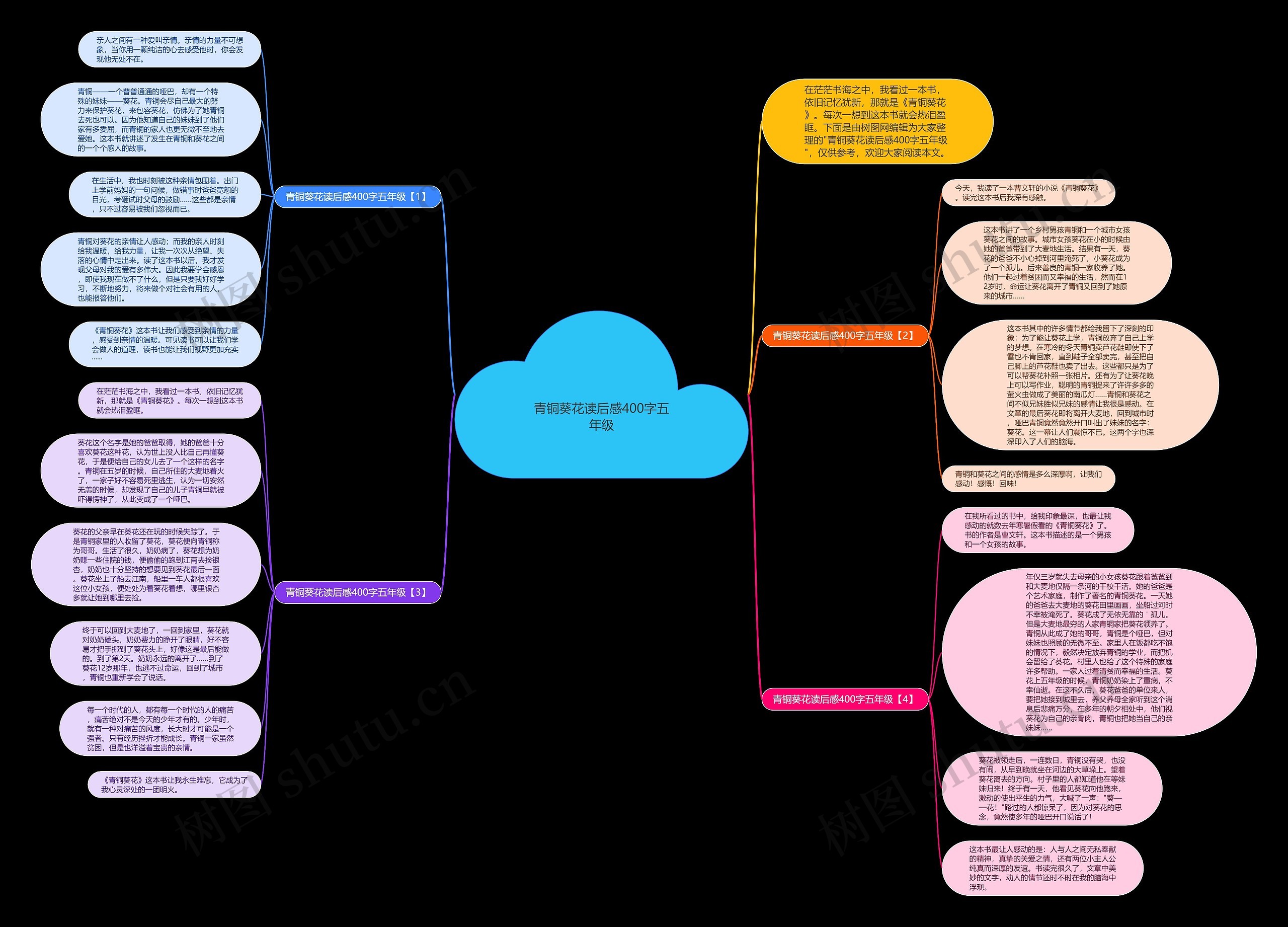 青铜葵花读后感400字五年级思维导图