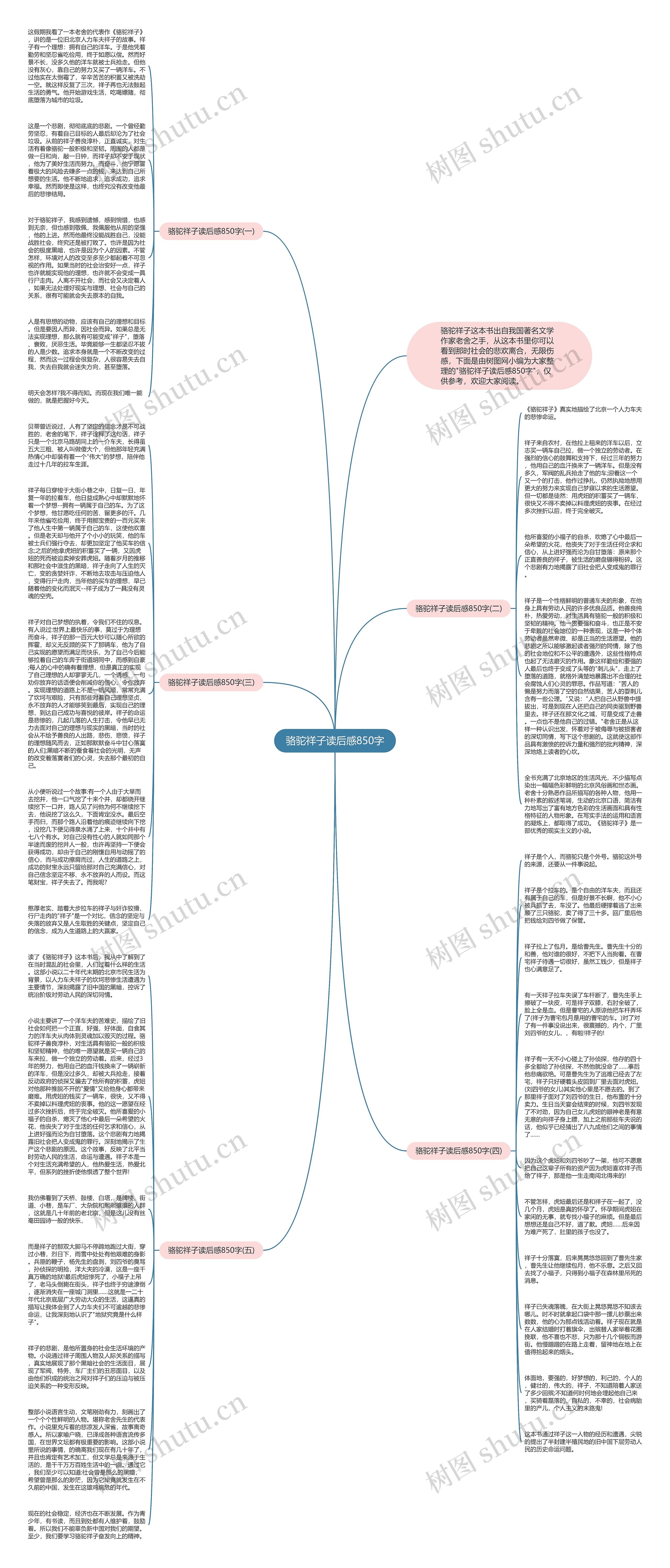 骆驼祥子读后感850字思维导图