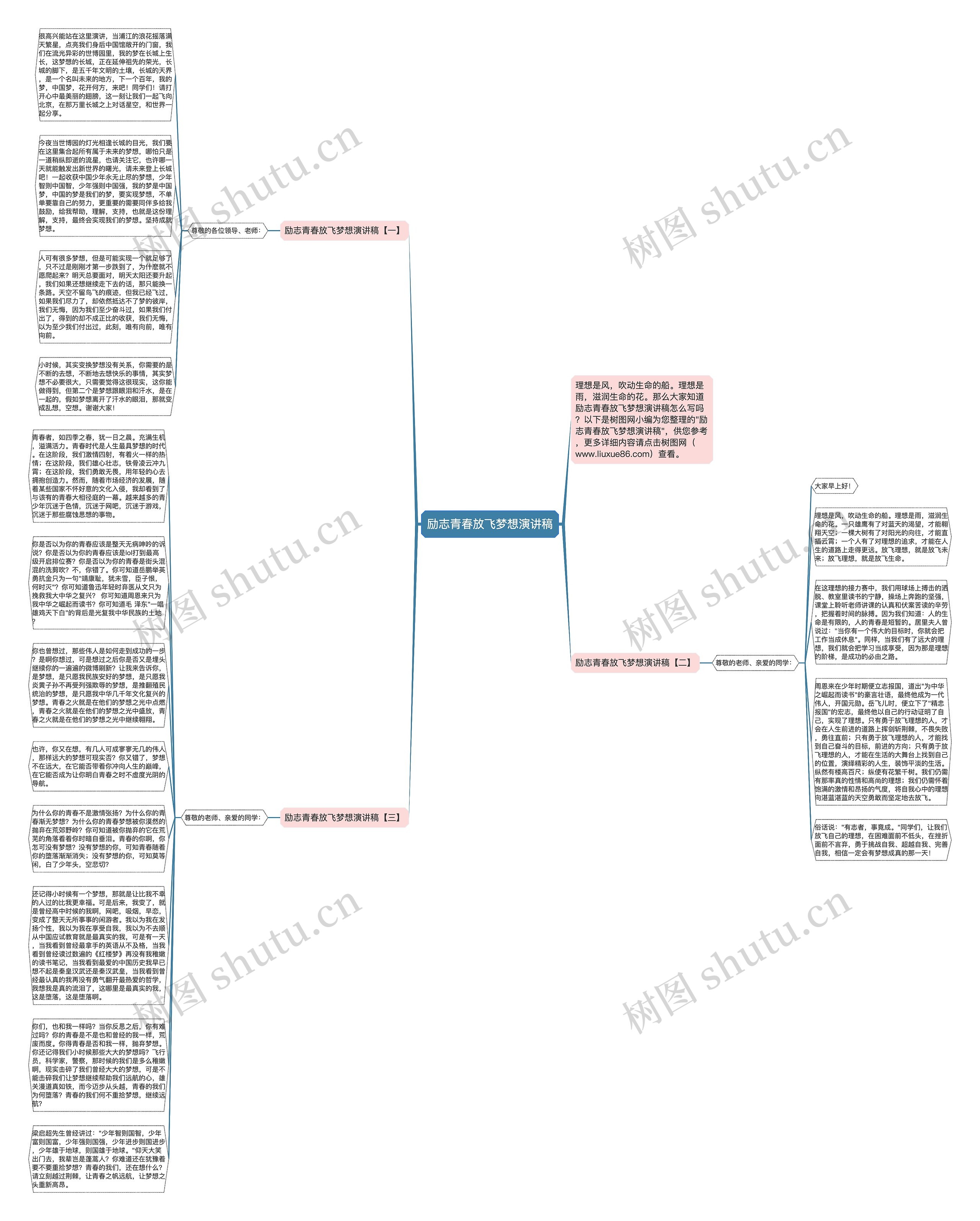 励志青春放飞梦想演讲稿思维导图