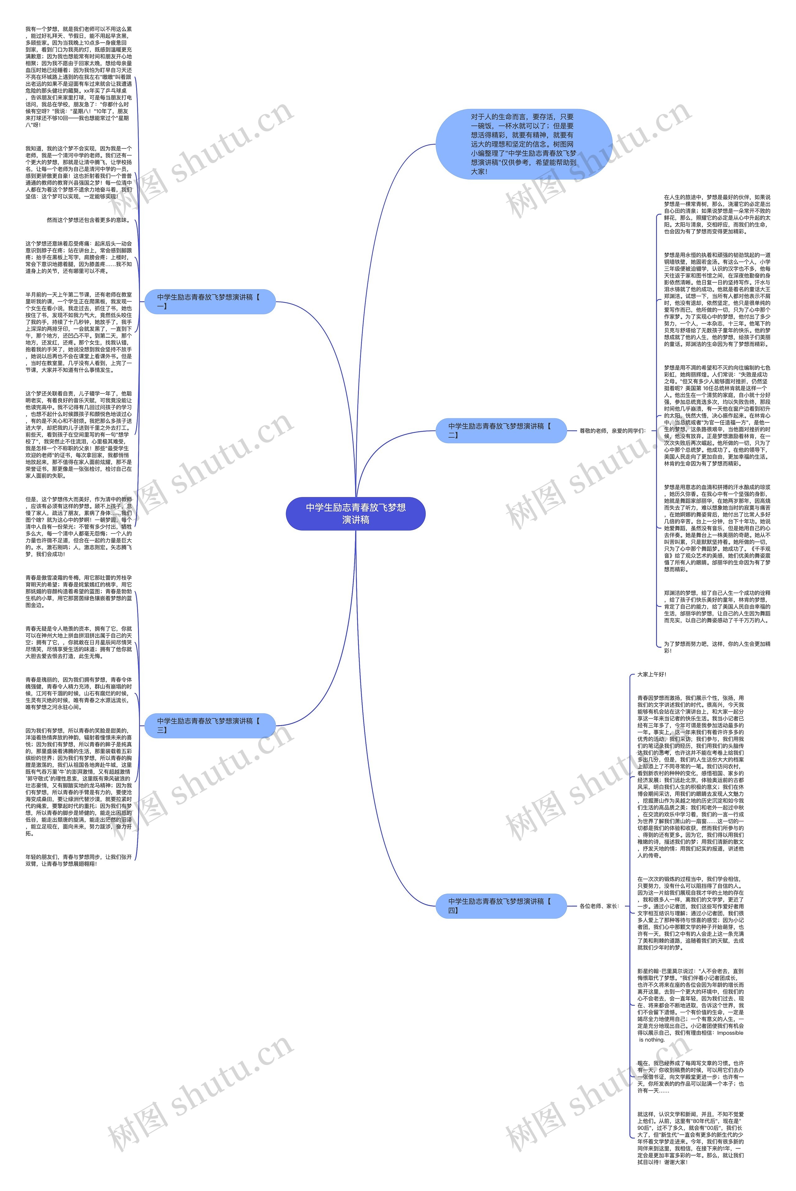 中学生励志青春放飞梦想演讲稿思维导图