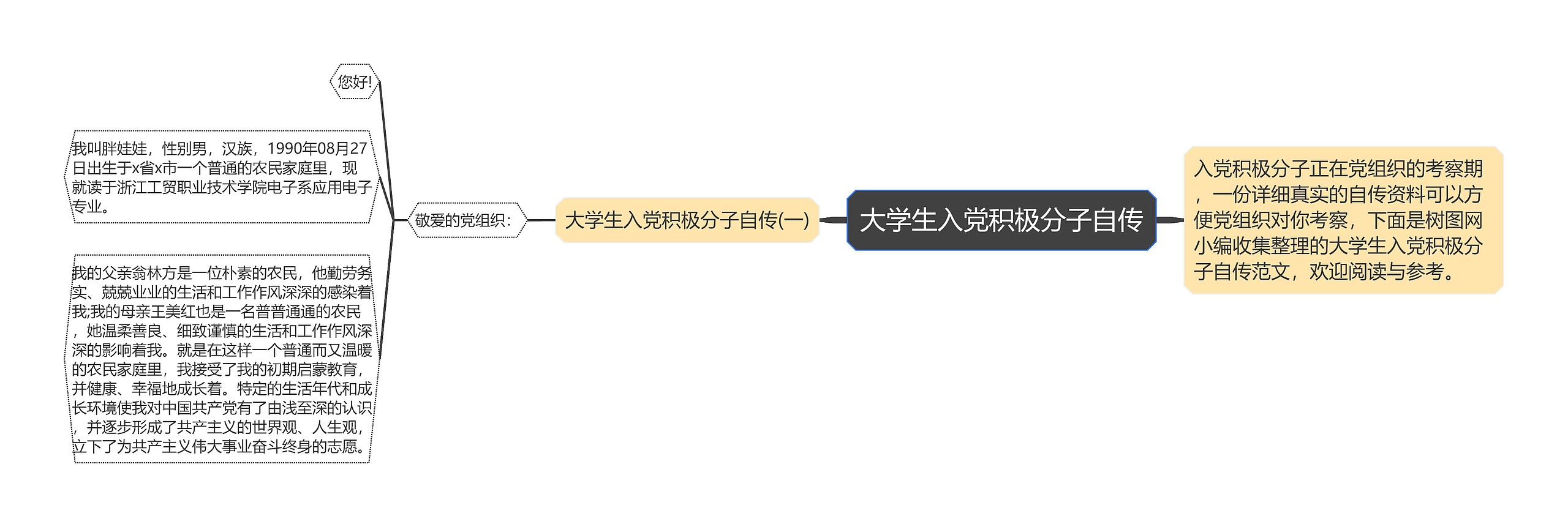 大学生入党积极分子自传思维导图