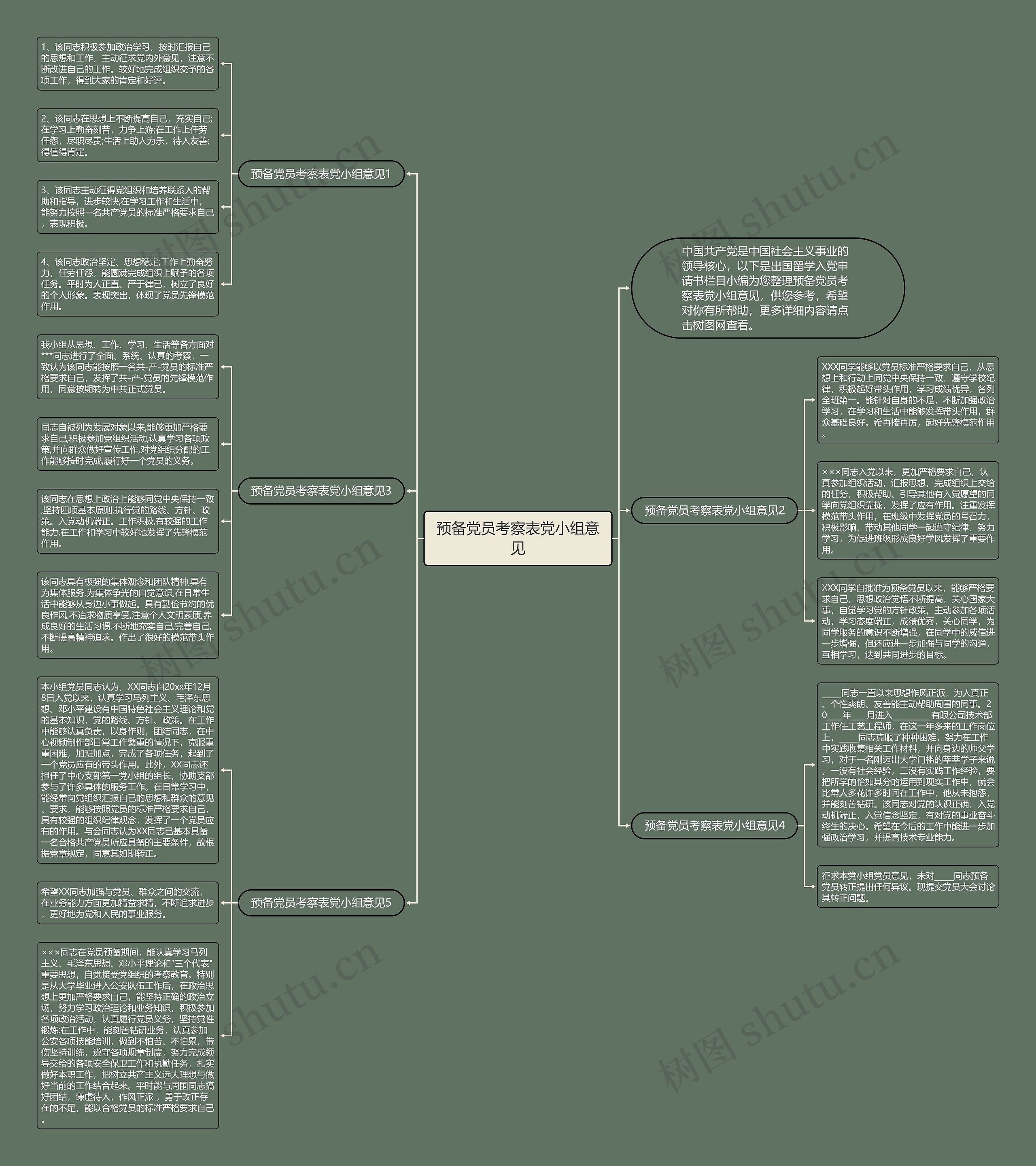 预备党员考察表党小组意见思维导图