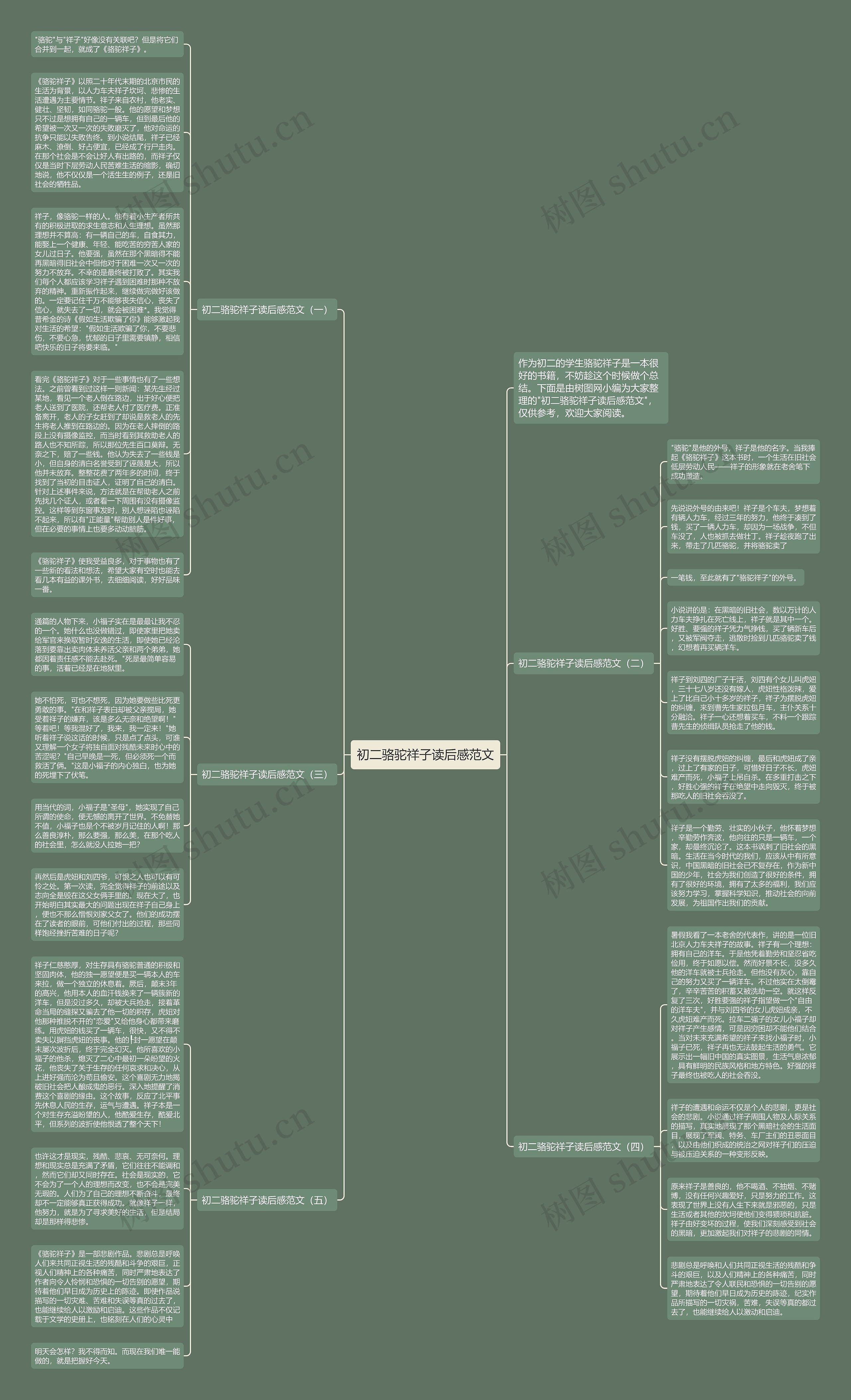 初二骆驼祥子读后感范文思维导图