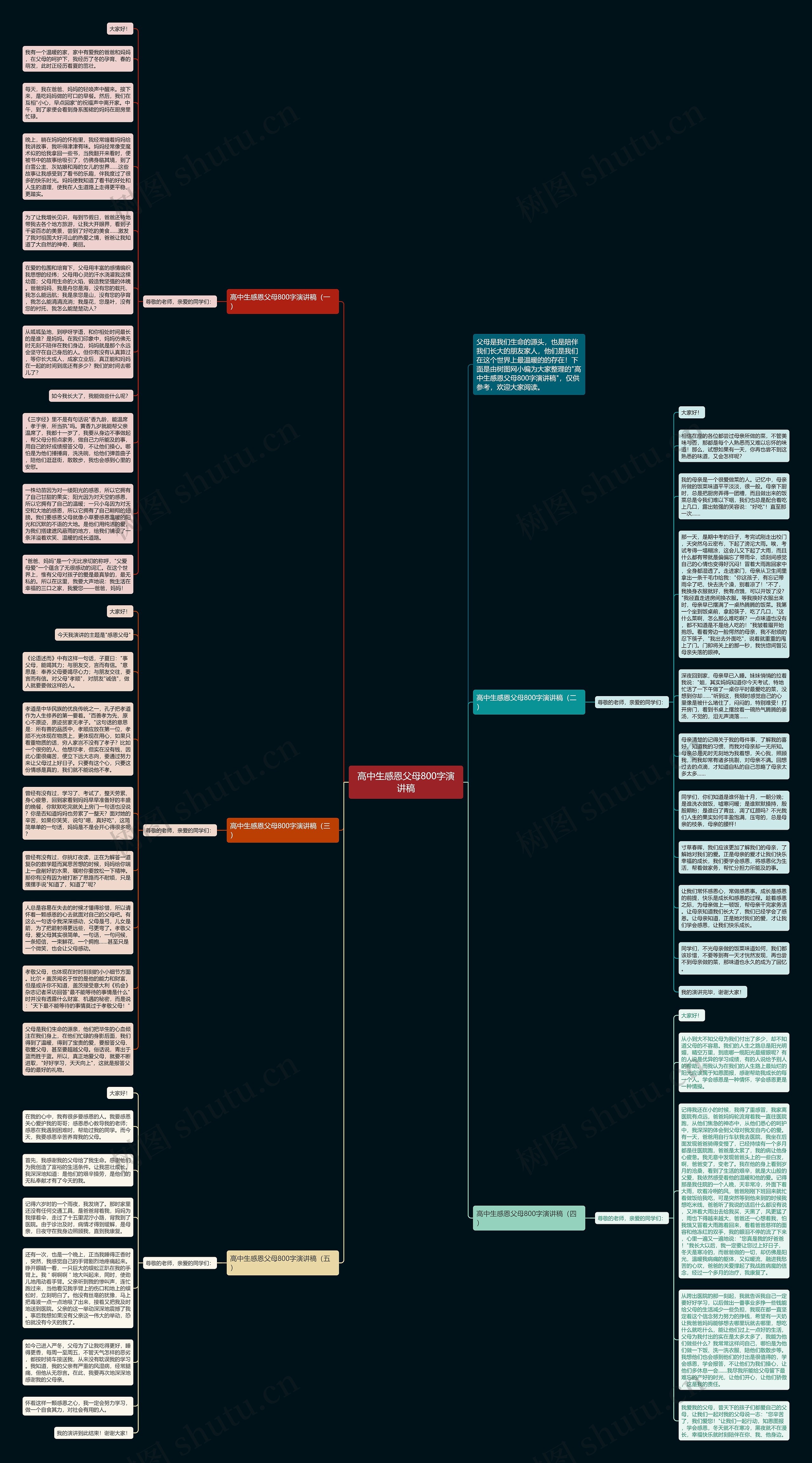 高中生感恩父母800字演讲稿思维导图