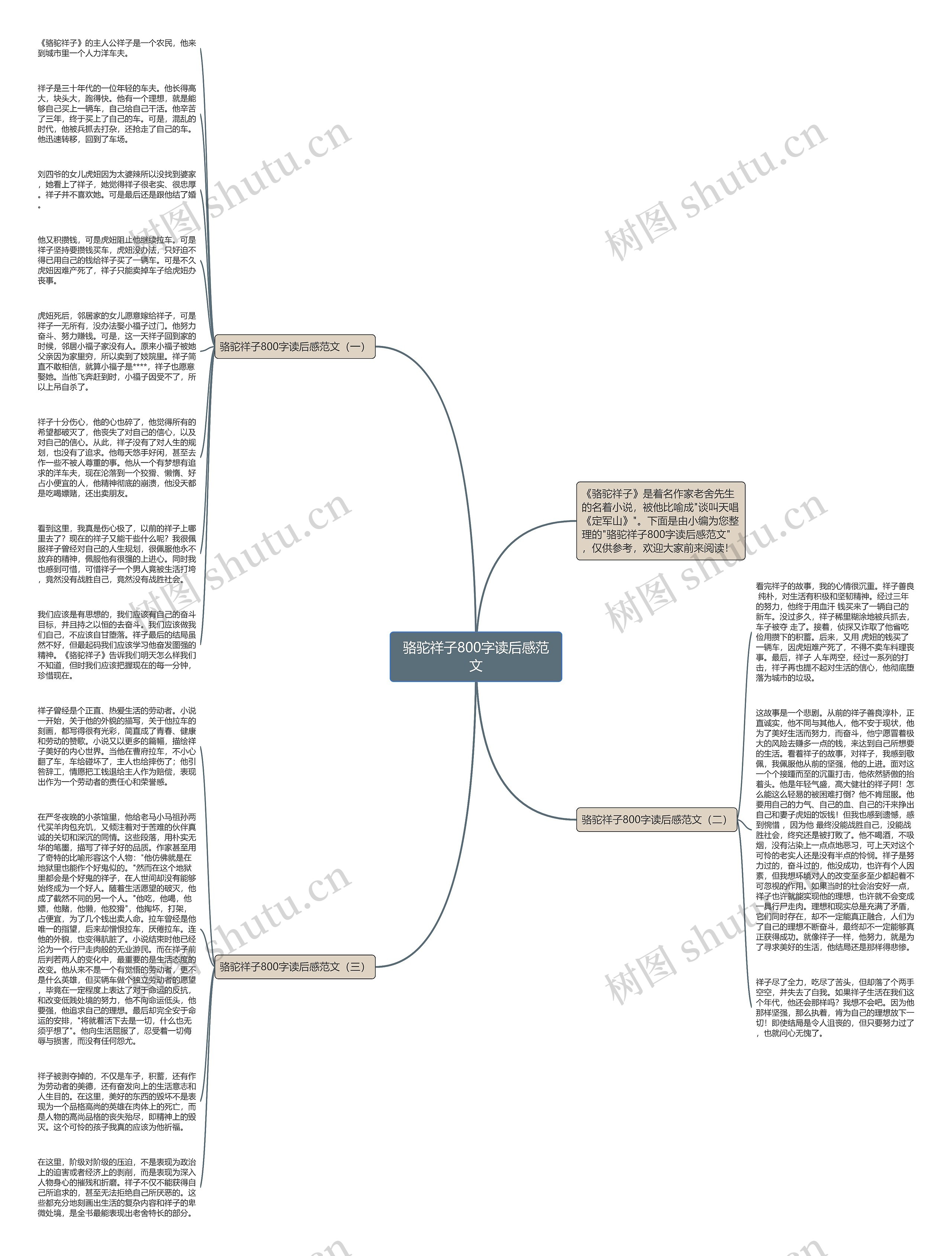 骆驼祥子800字读后感范文思维导图