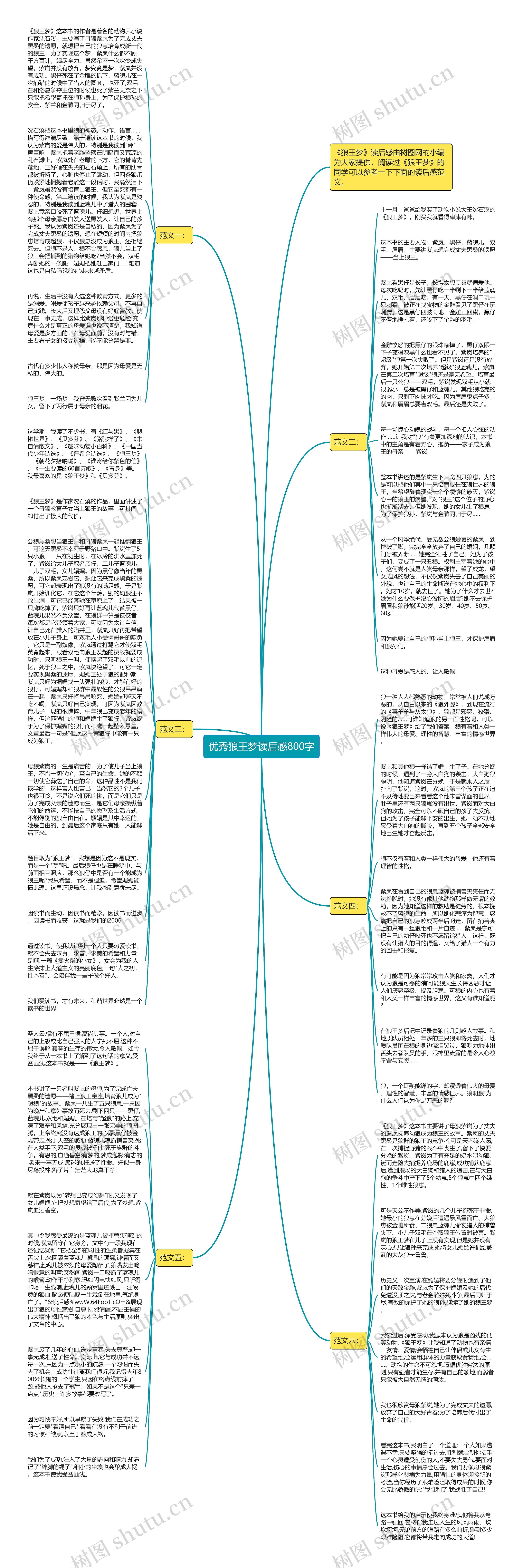 优秀狼王梦读后感800字