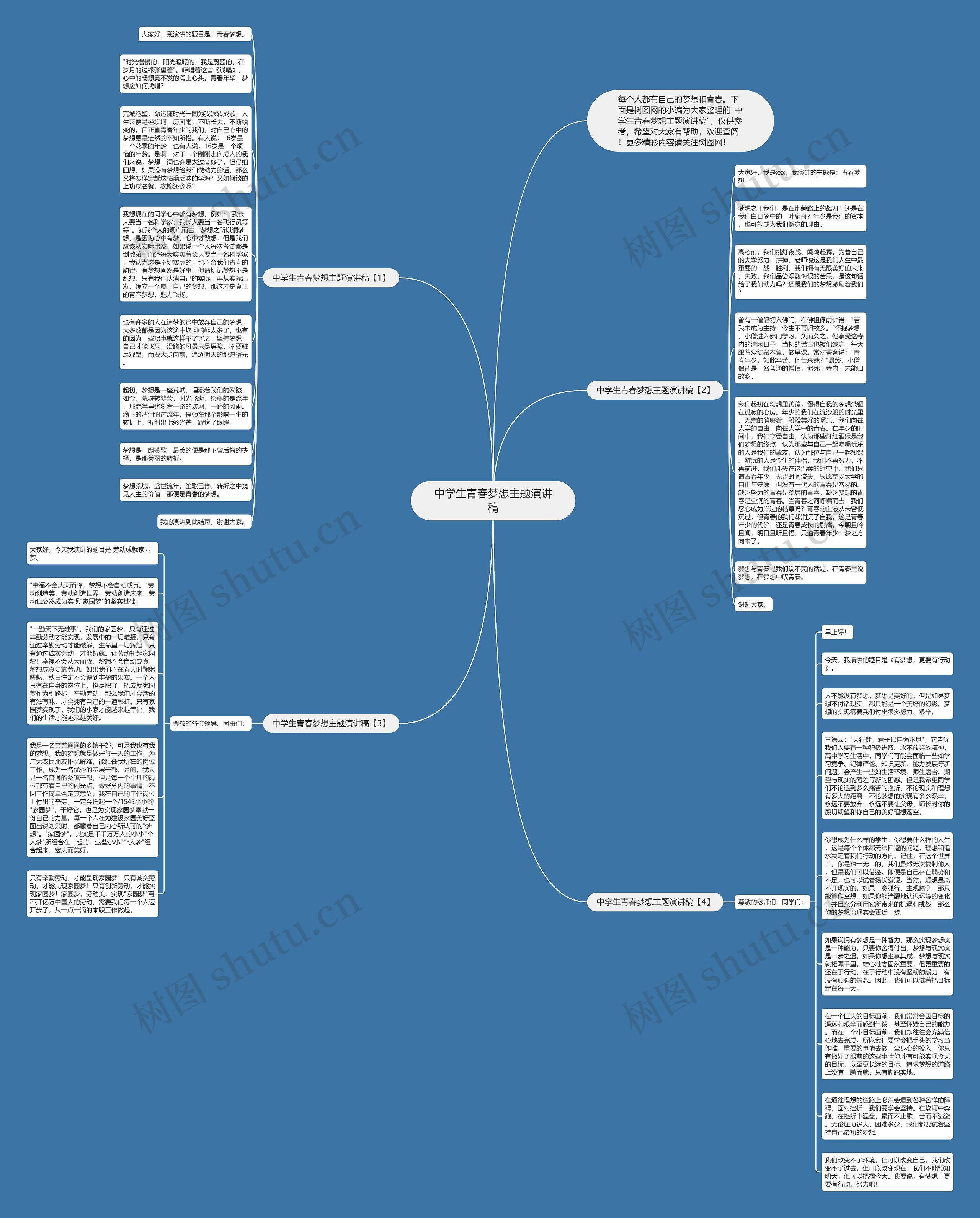 中学生青春梦想主题演讲稿思维导图