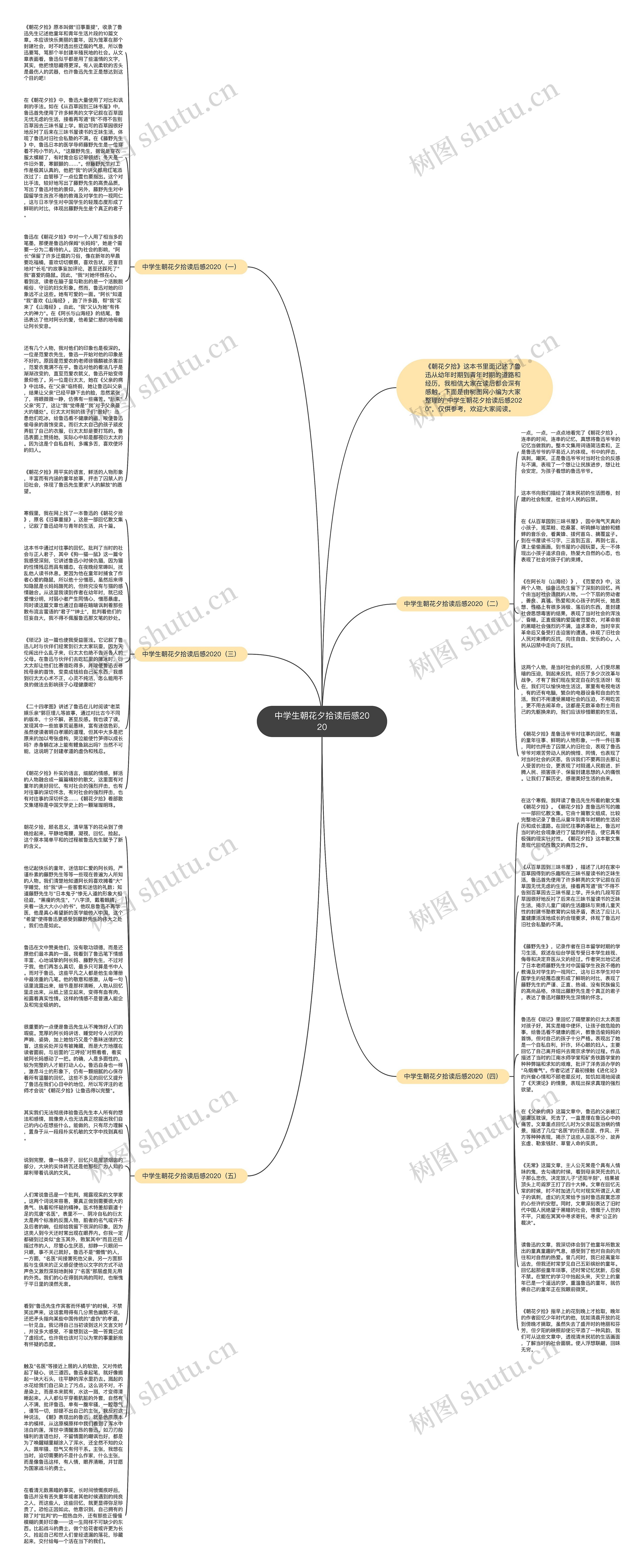 中学生朝花夕拾读后感2020思维导图