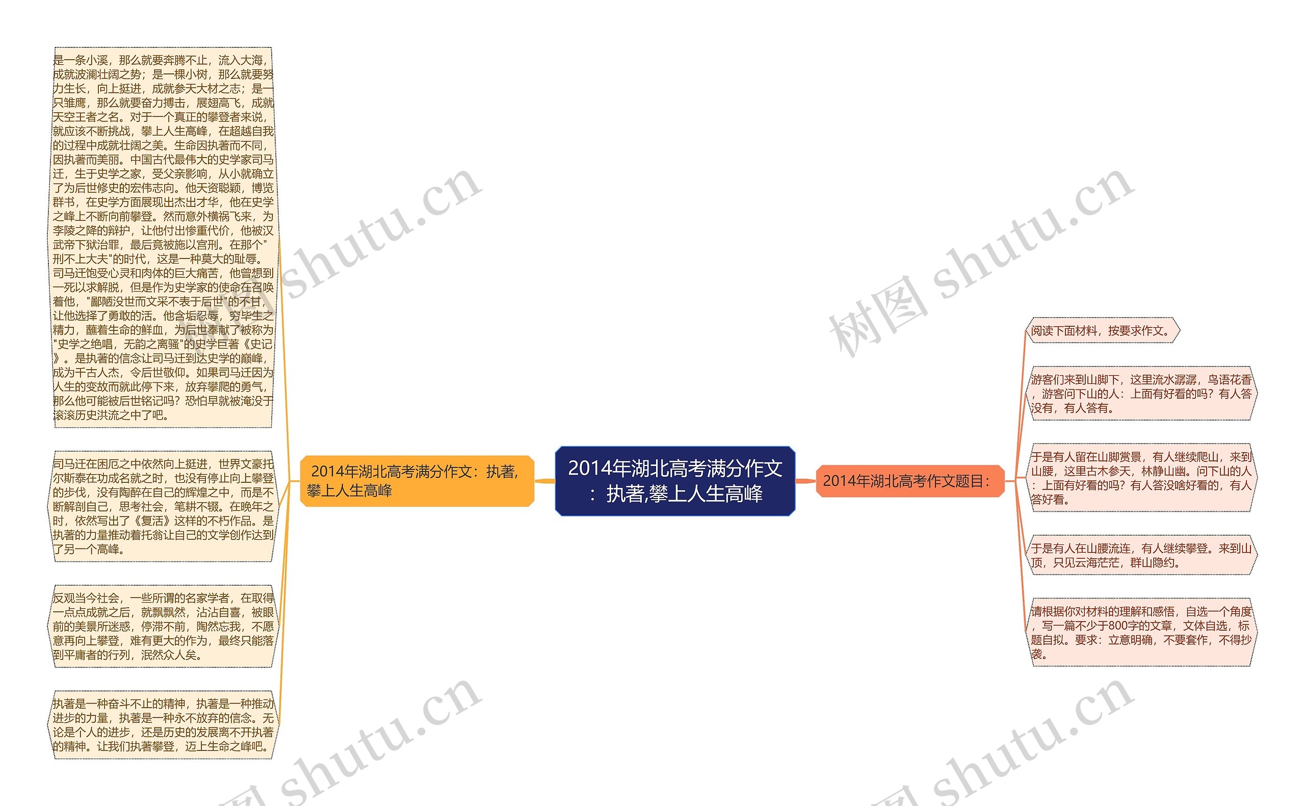 2014年湖北高考满分作文：执著,攀上人生高峰