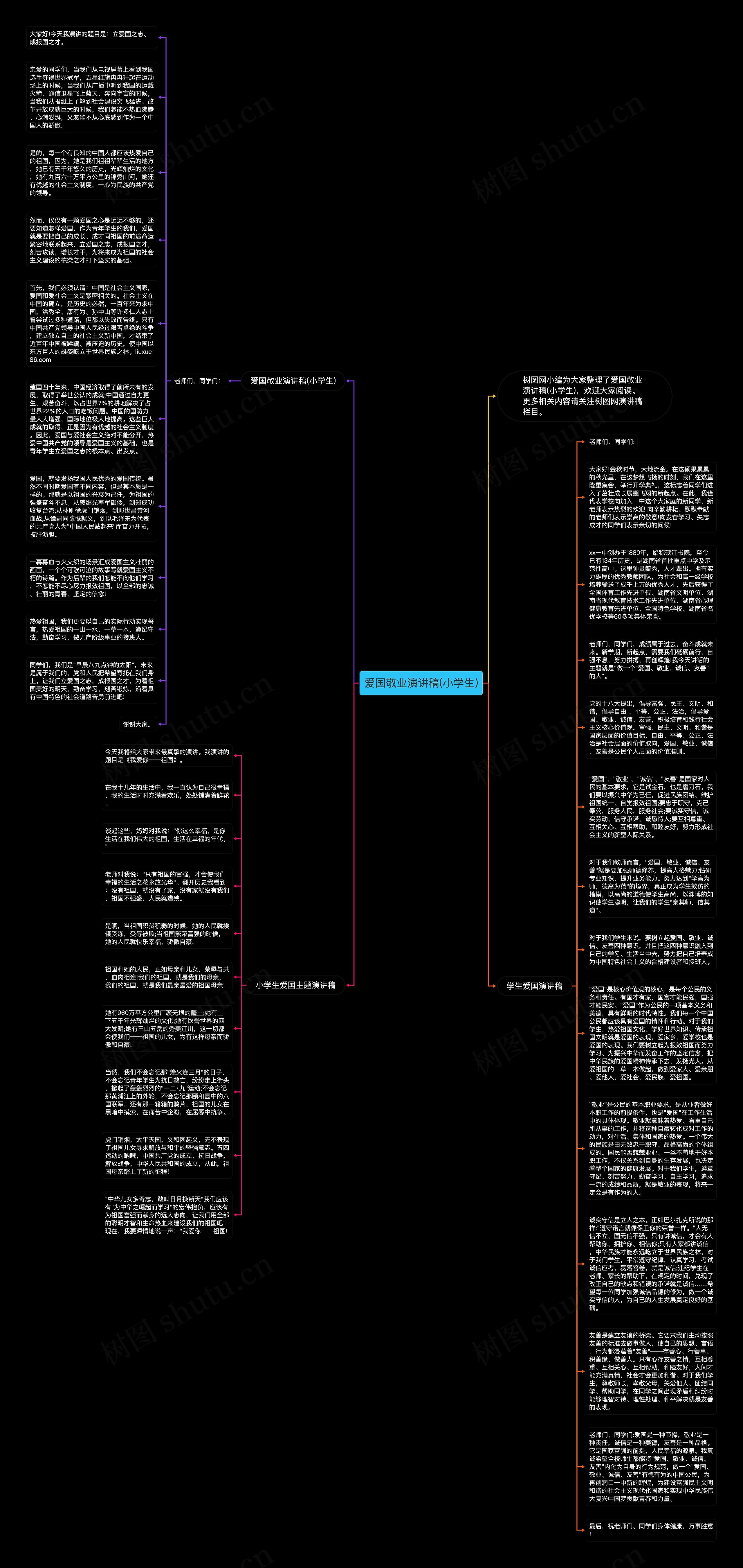 爱国敬业演讲稿(小学生)思维导图