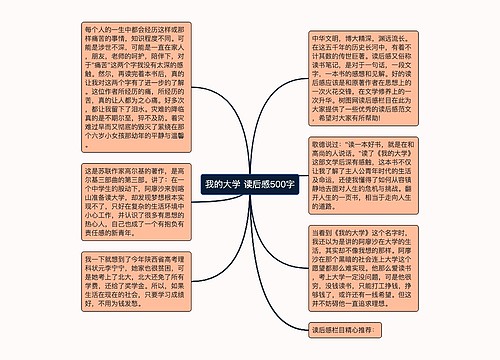 我的大学 读后感500字