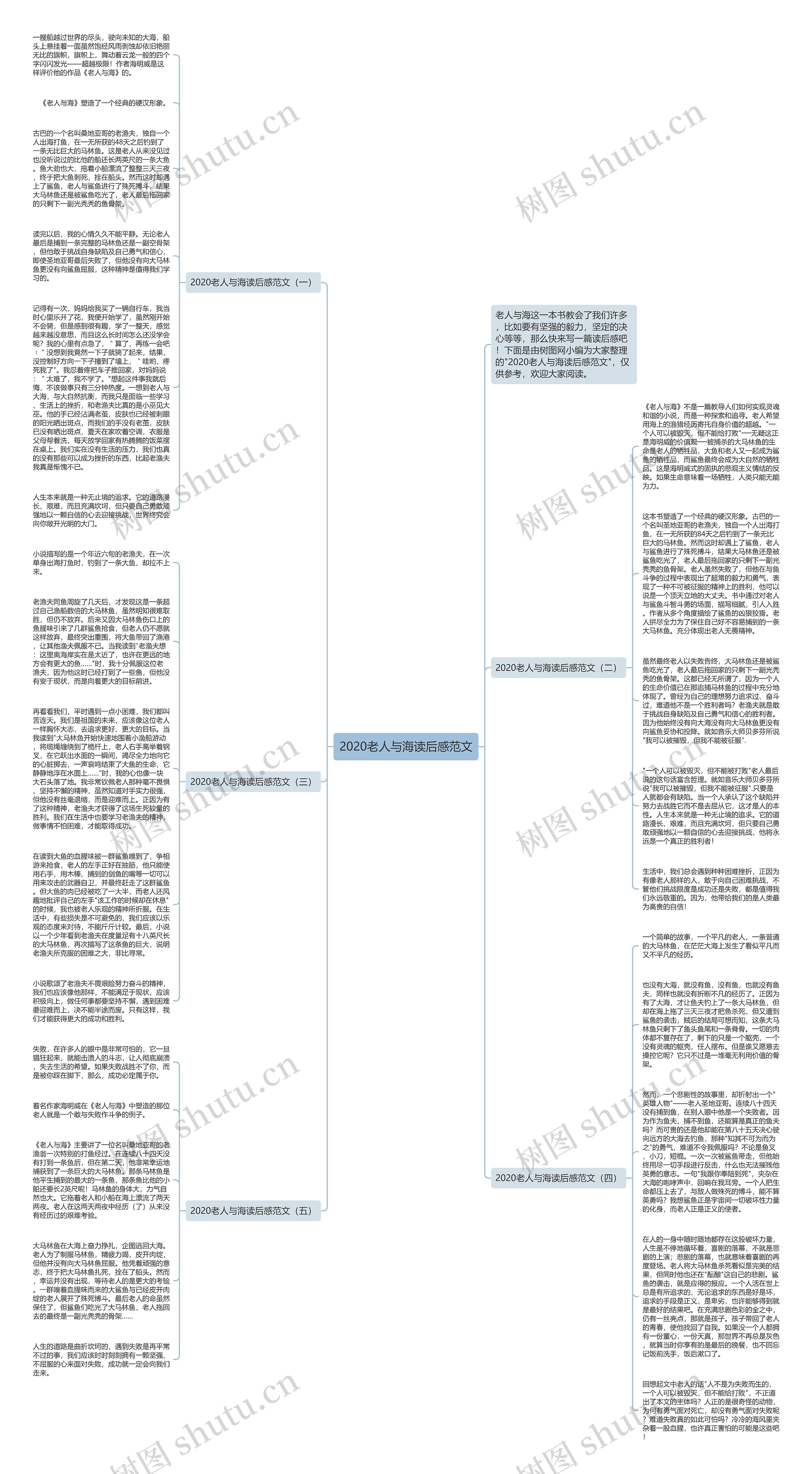 2020老人与海读后感范文思维导图