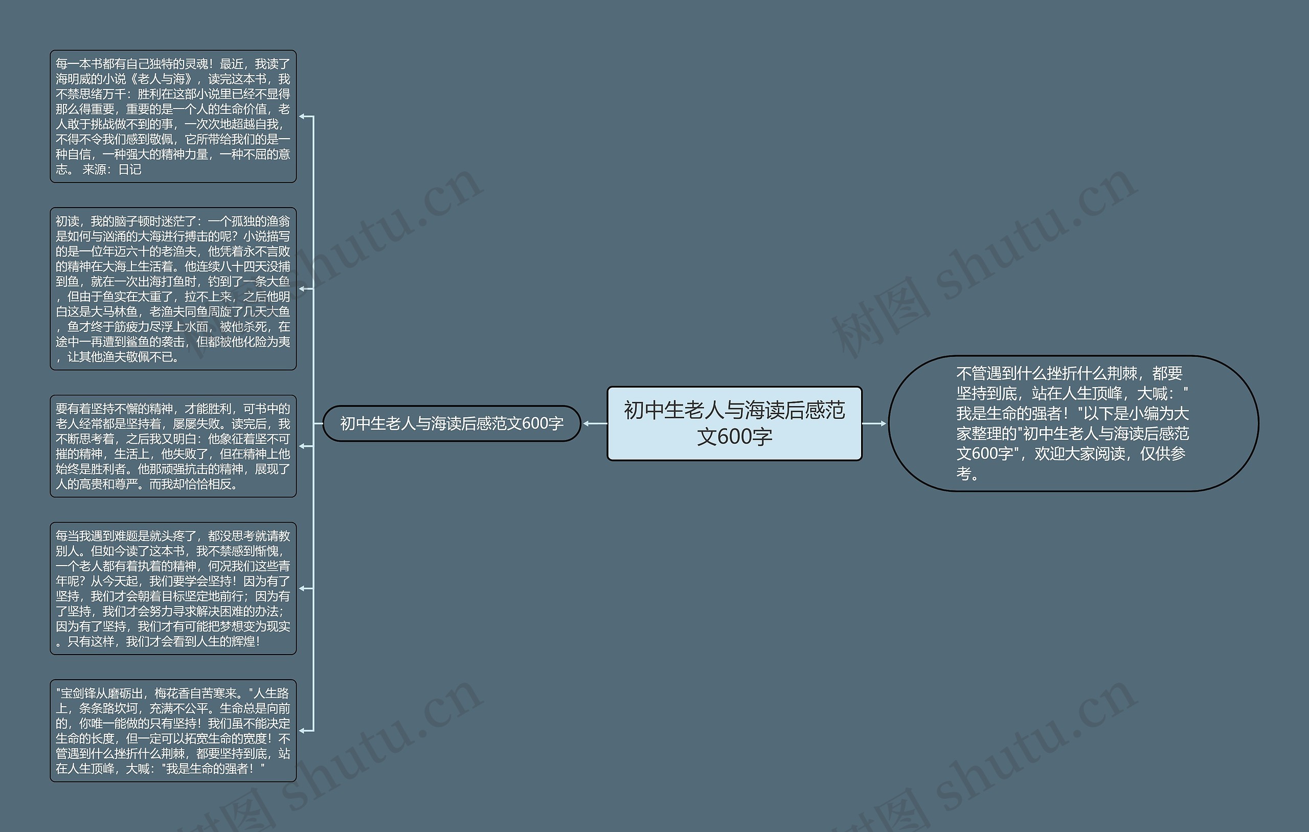 初中生老人与海读后感范文600字思维导图