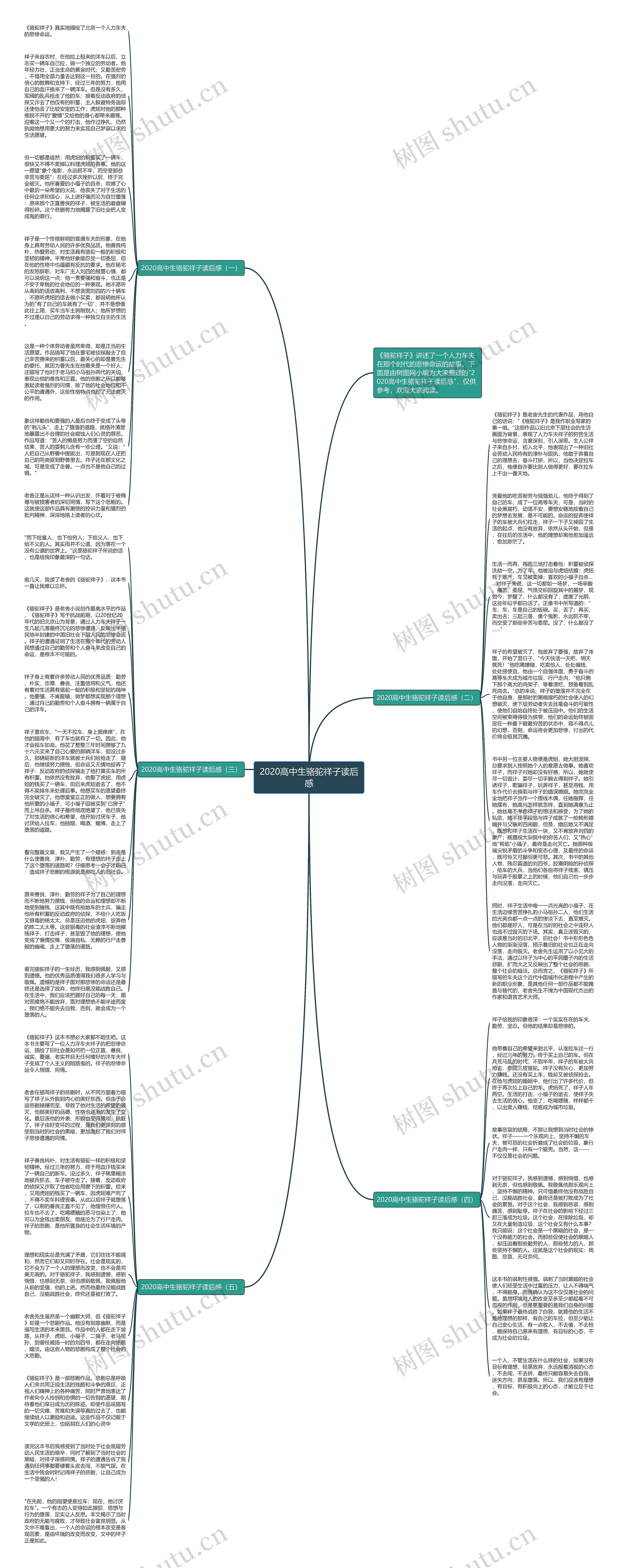 2020高中生骆驼祥子读后感思维导图