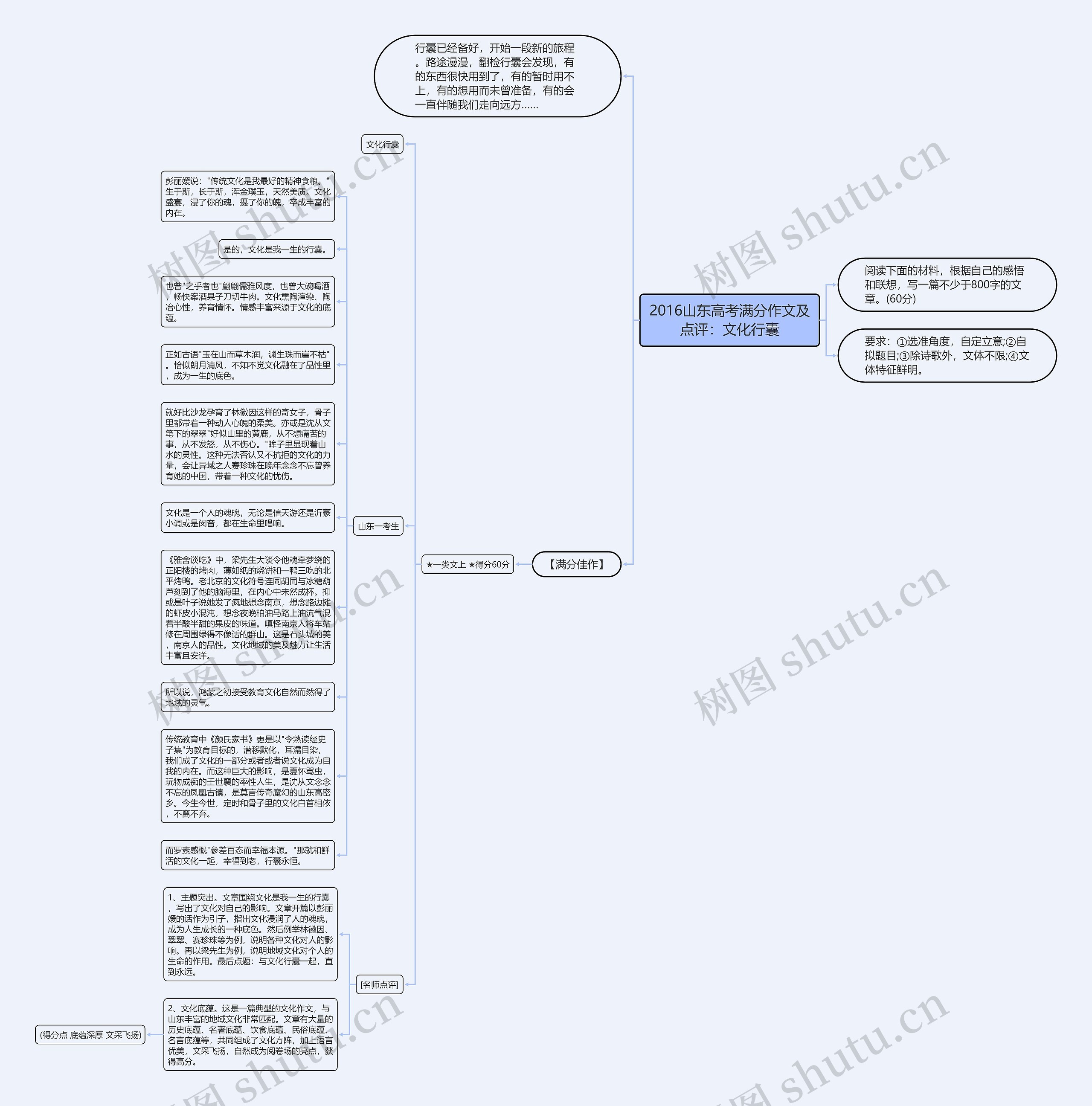 2016山东高考满分作文及点评：文化行囊思维导图