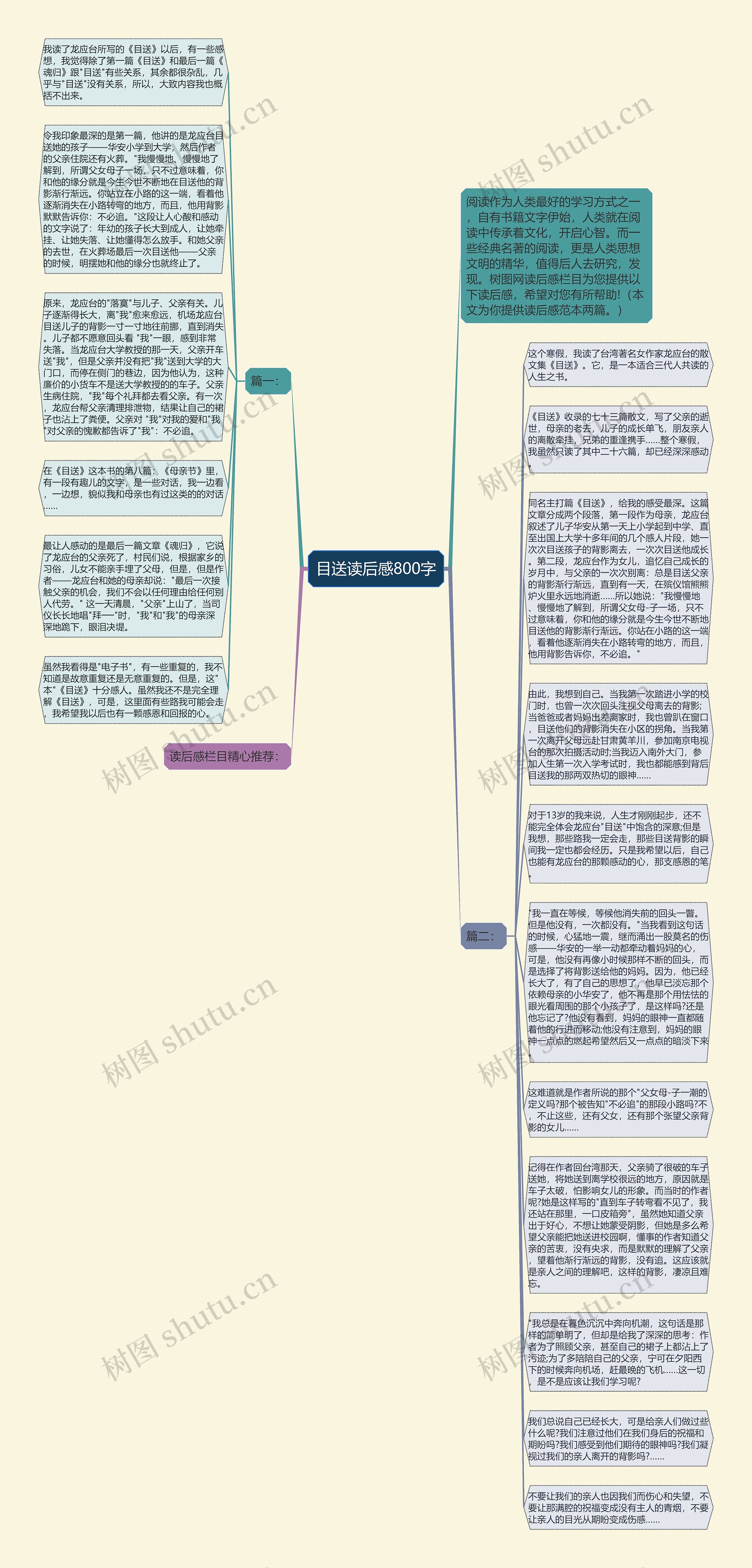 目送读后感800字